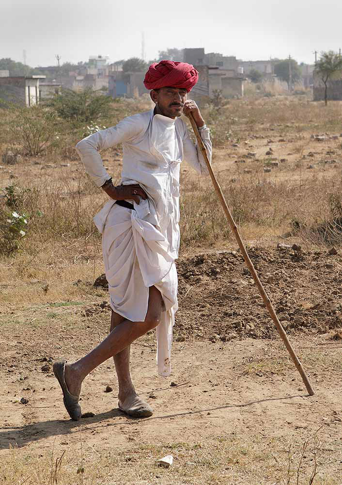 Cowherd, Jaipuer