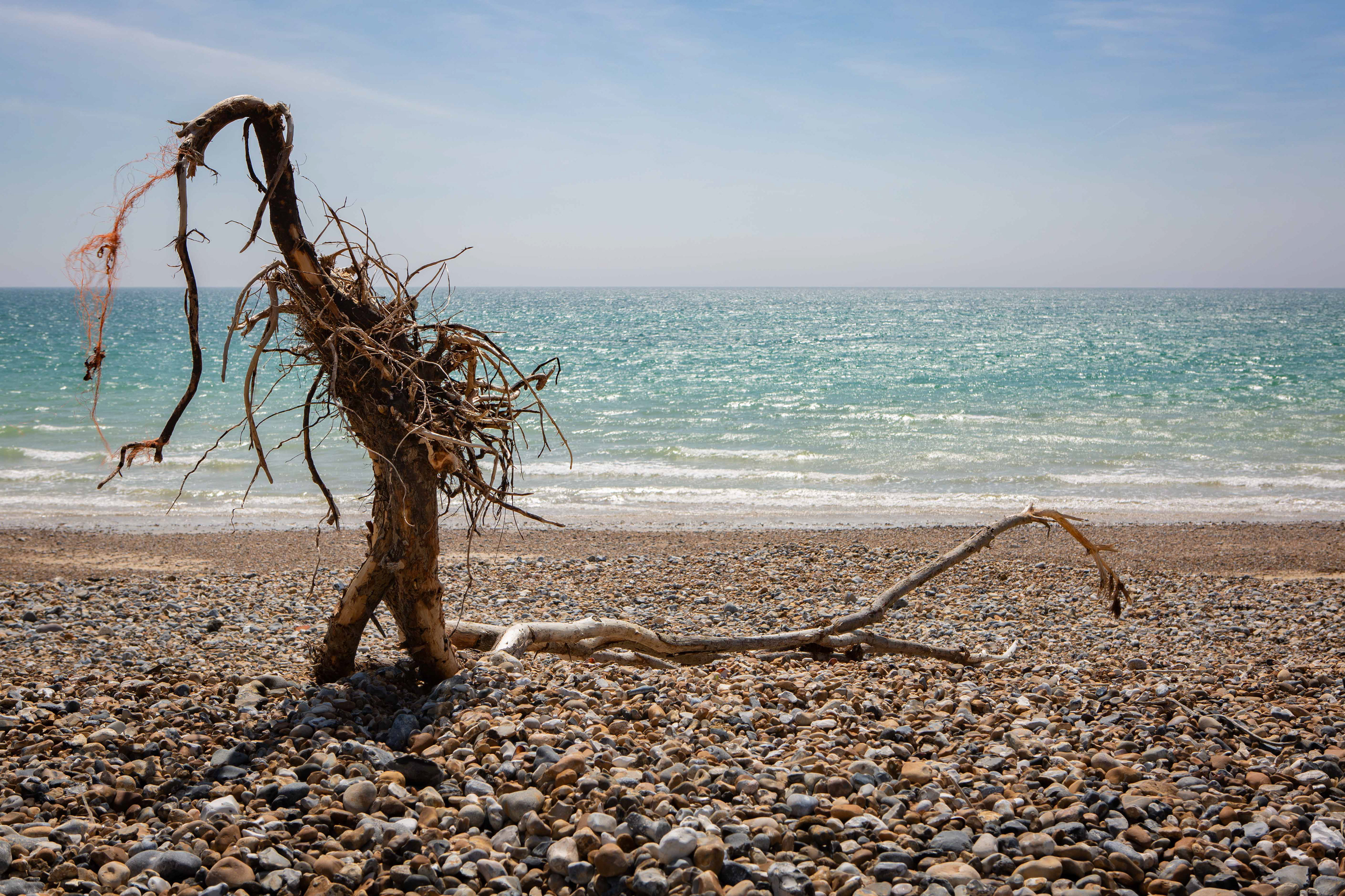 Beach Debris
