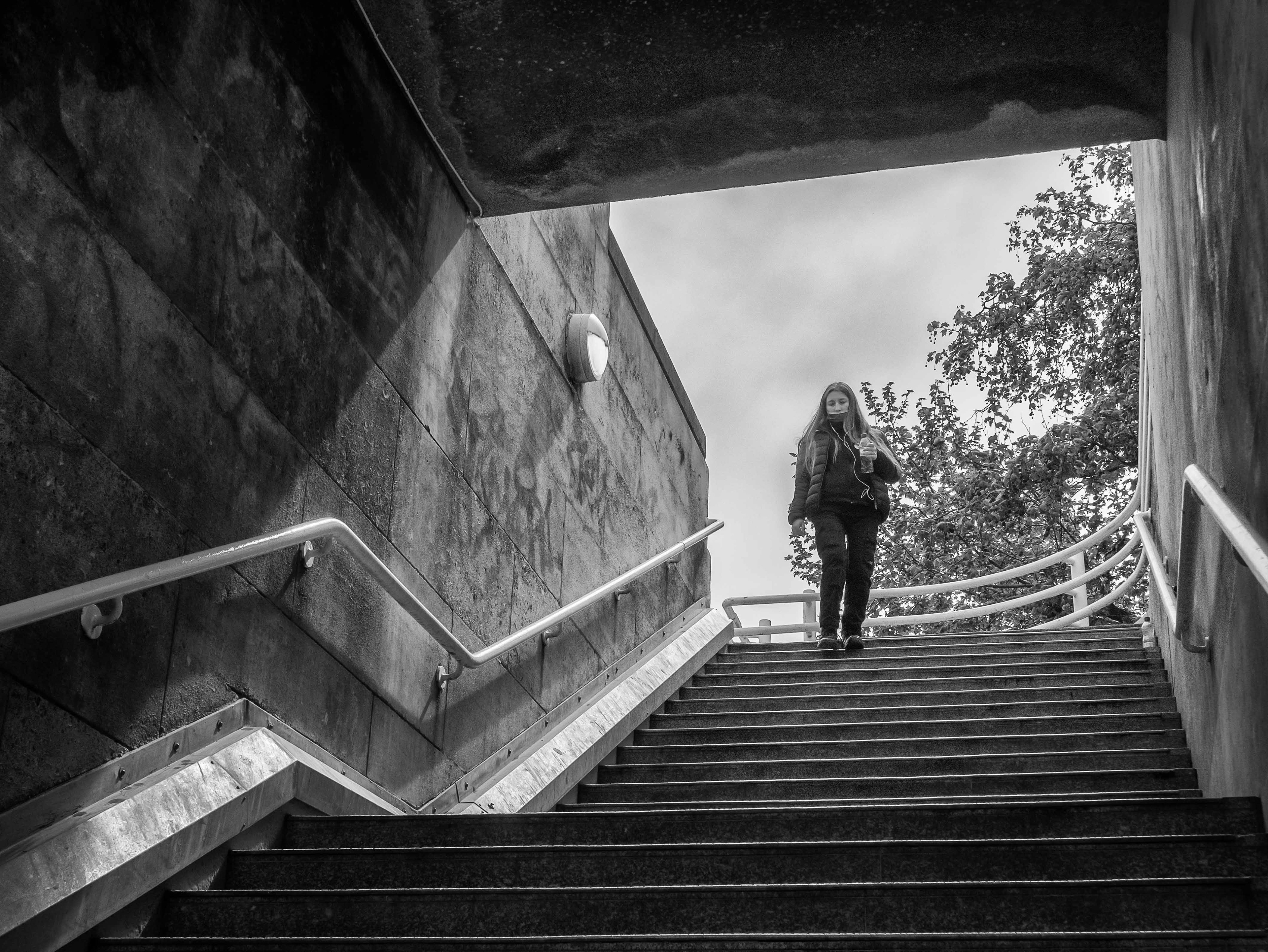 The steps