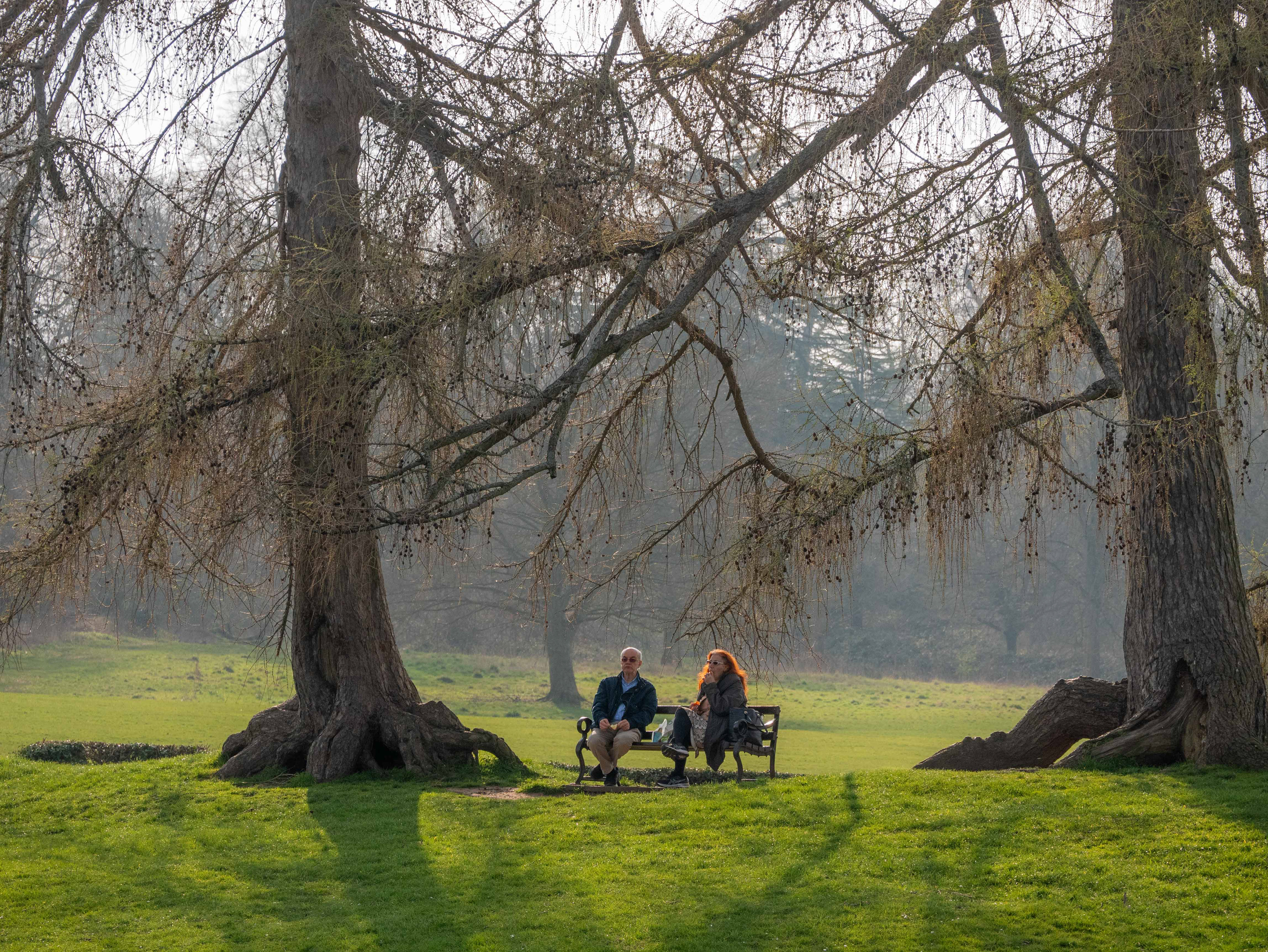 Verulamium Park, St Albans