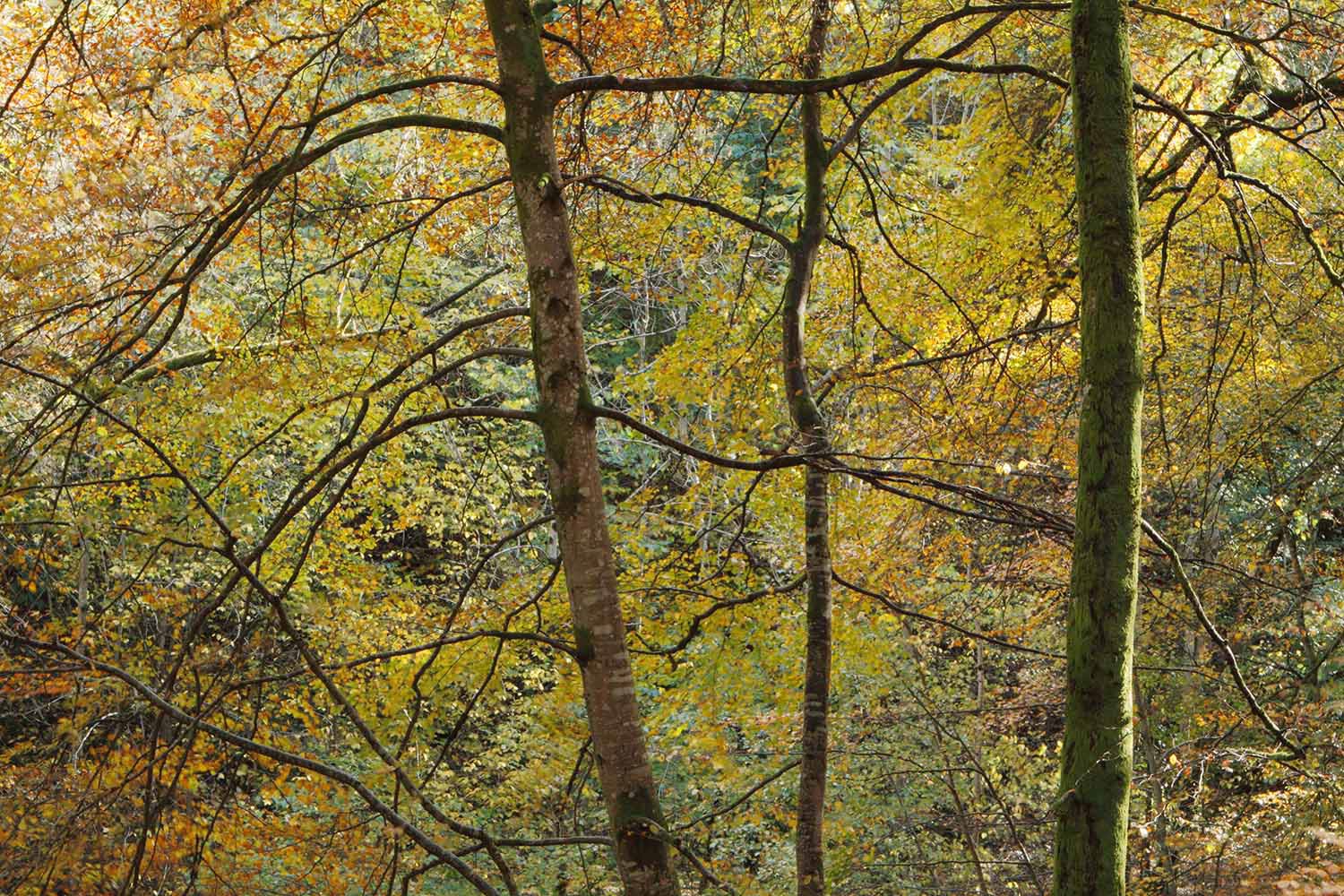 Perthshire