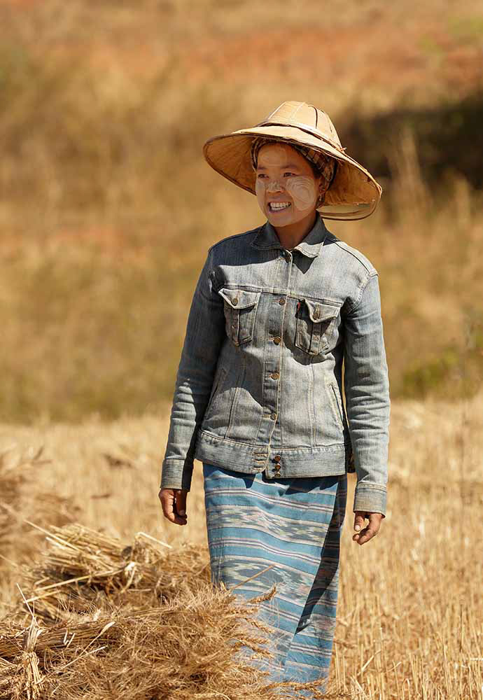 Shan plateau