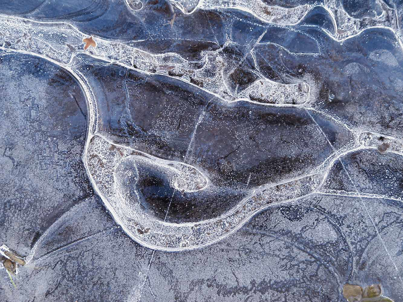 Frozen Puddle