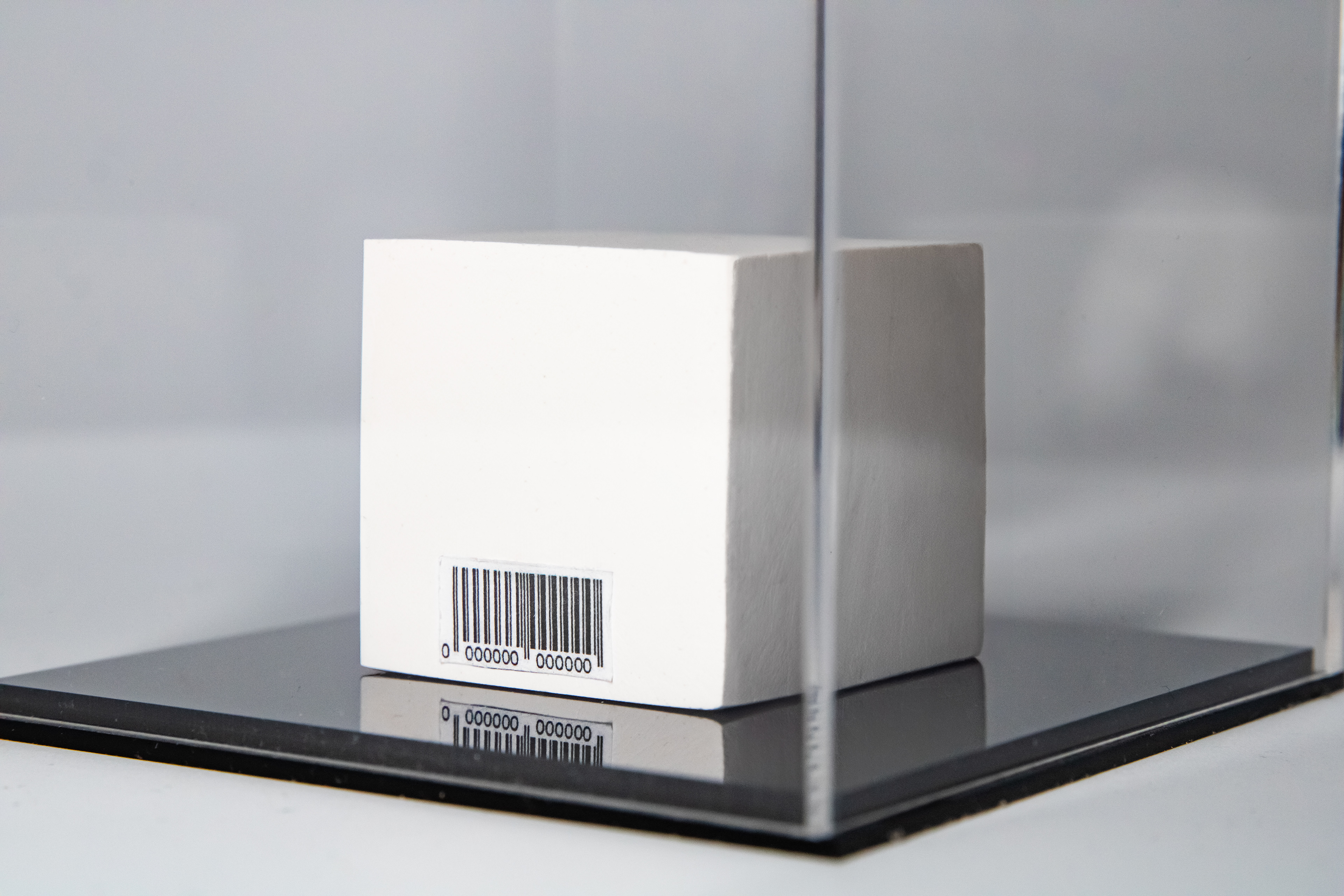 MODEL 000: ICON