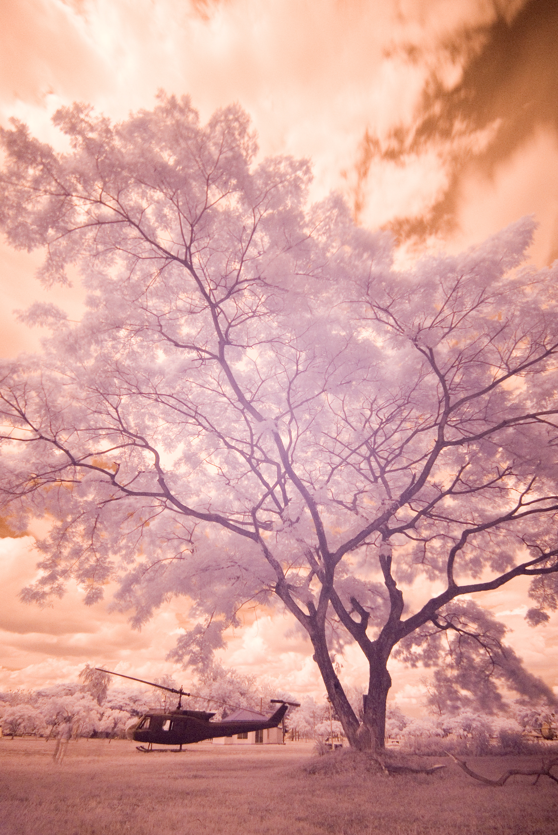 Infrared Photography