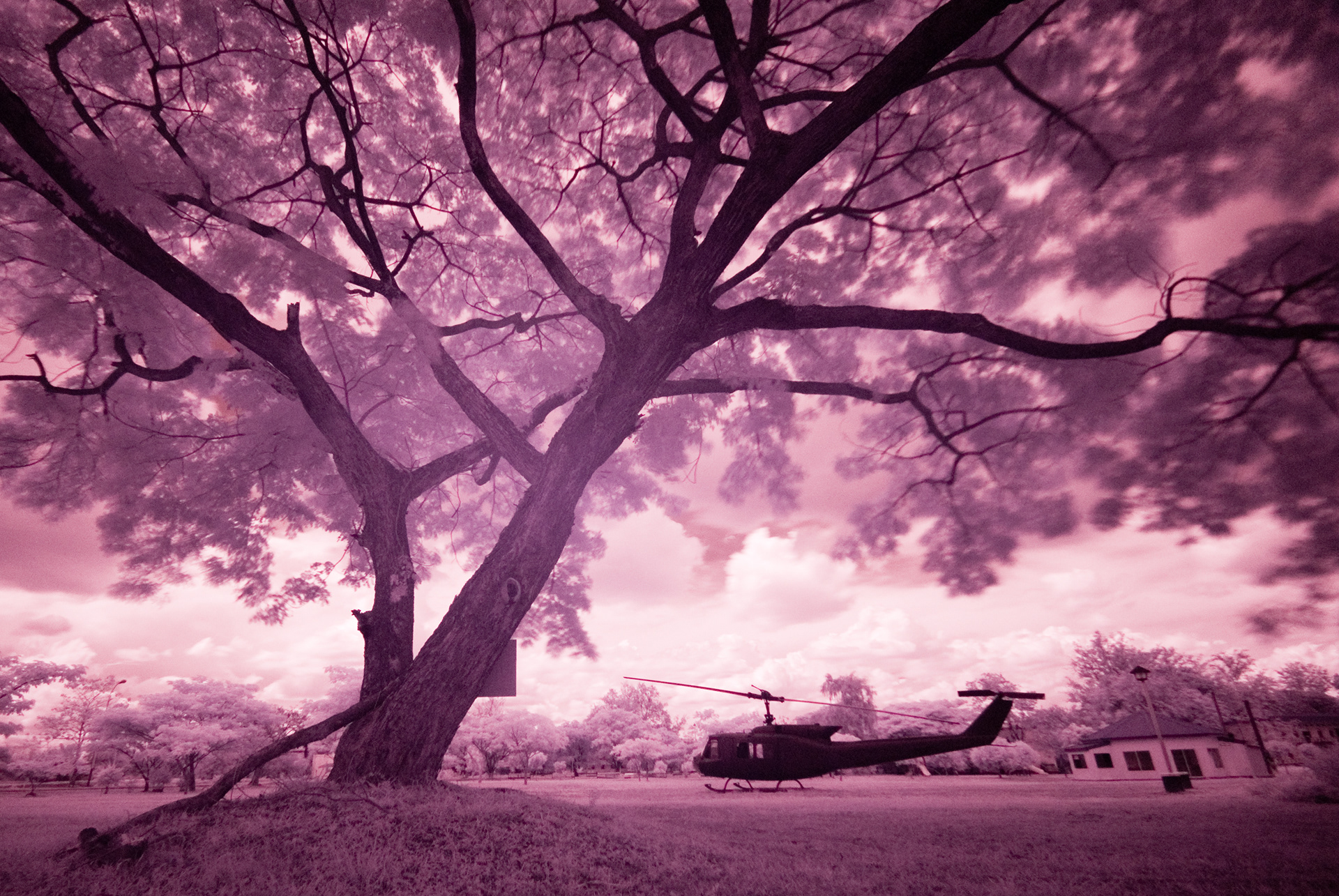 Infrared Photography