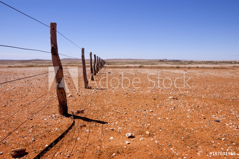 Fenceline in Outback Australia
