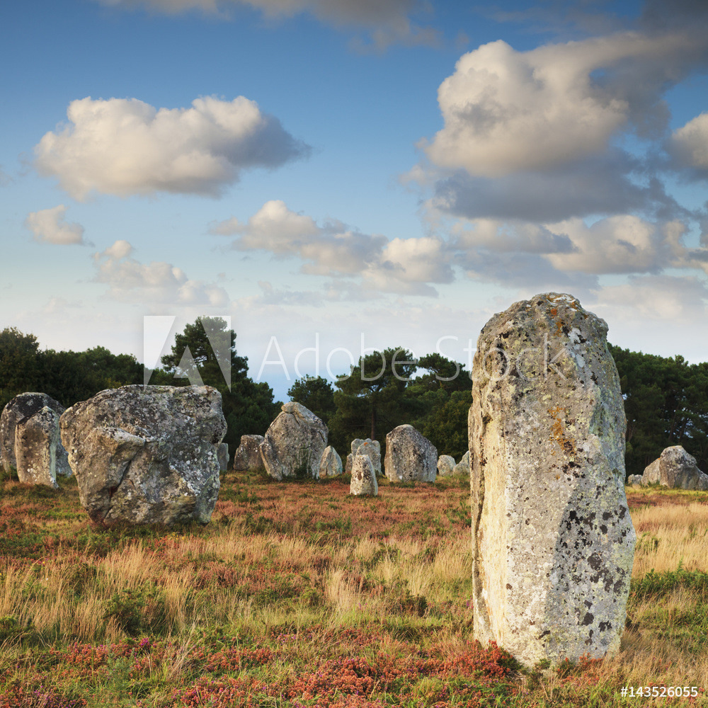 Standing Stones, Carnac, Brittany