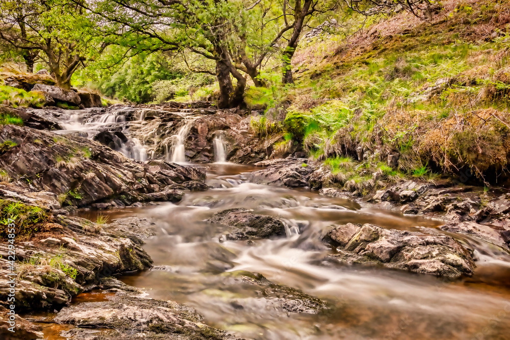 River Eiddew, Powys