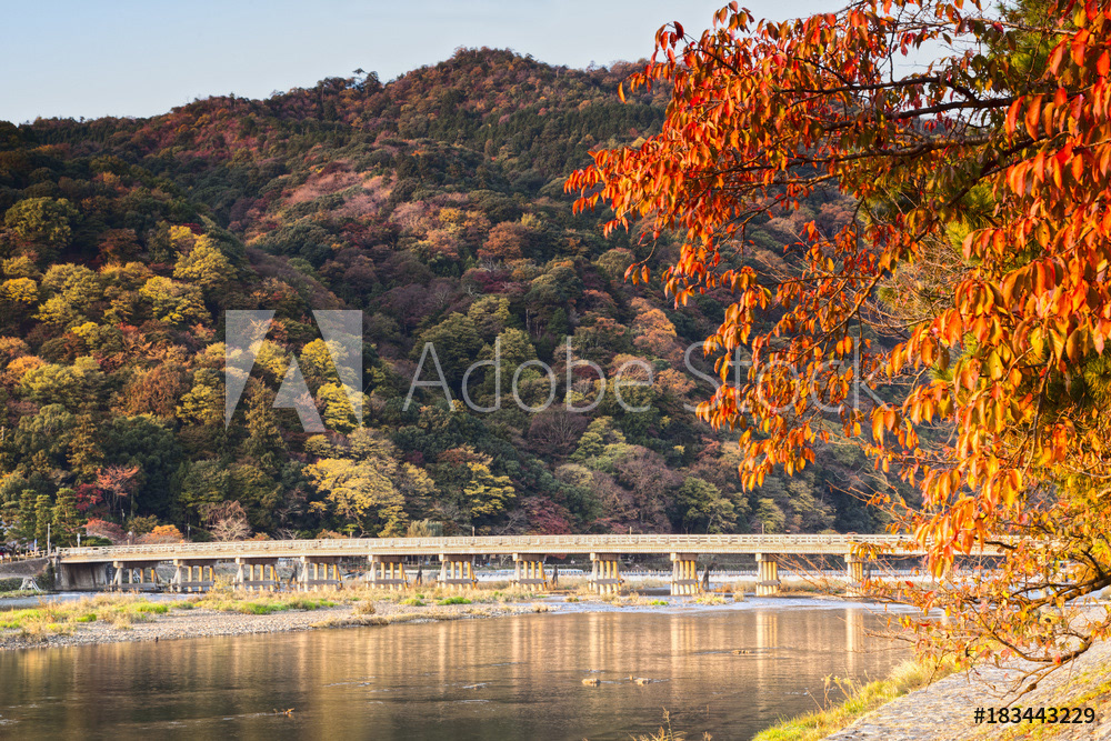 Autumn at Arashiyama, Kyoto, Japan