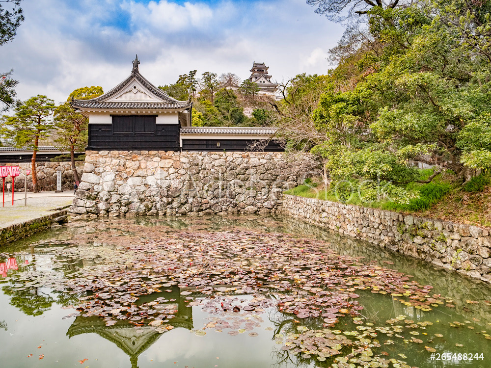 Kochi Castle, Japan