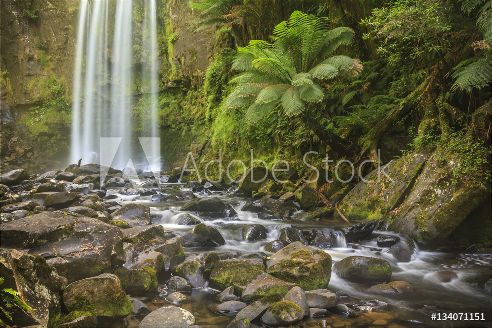 Waterfall in Australian Bush