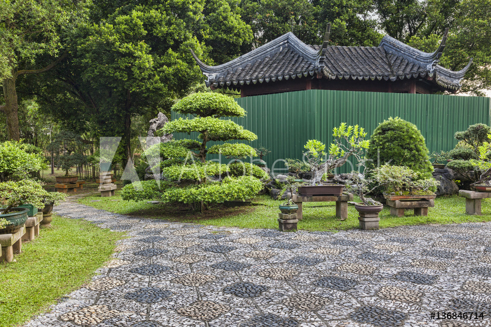 Bonsai trees in Singapore Chinese Garden