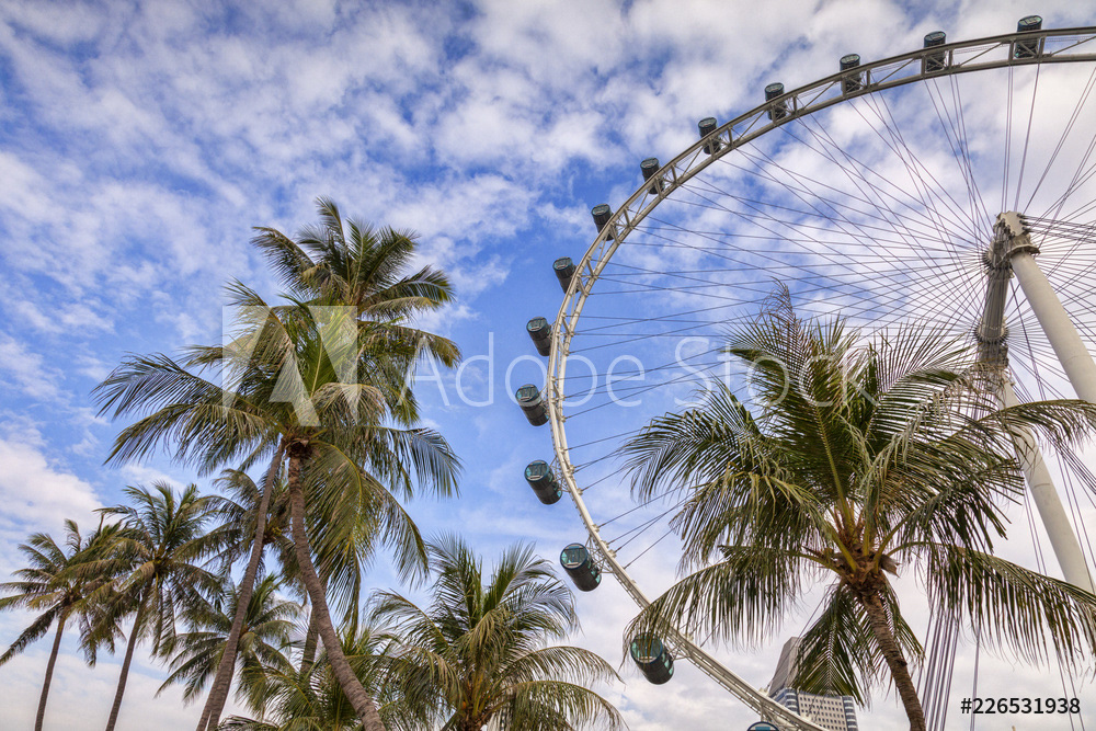Singapore Flyer and Palms