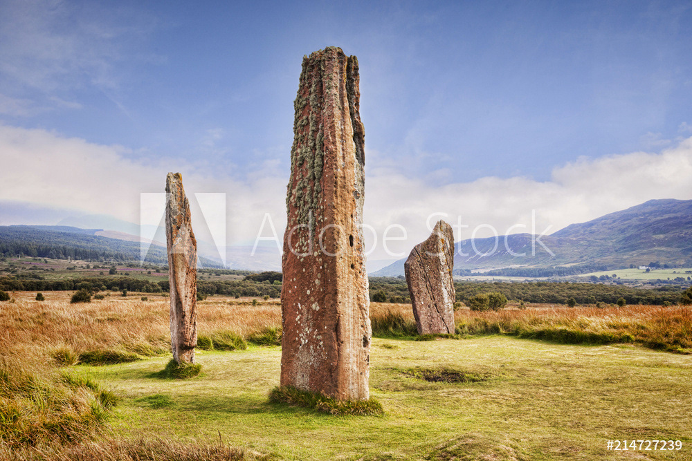 Machrie Moor 2 Stone Circle