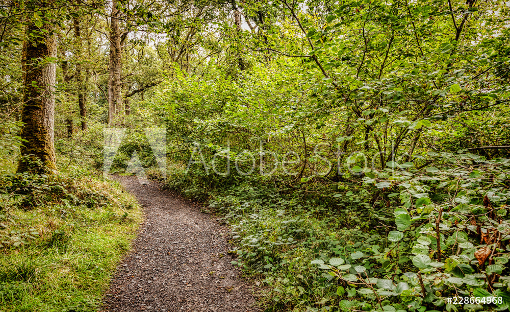 West Highland Way beside Loch Lomond