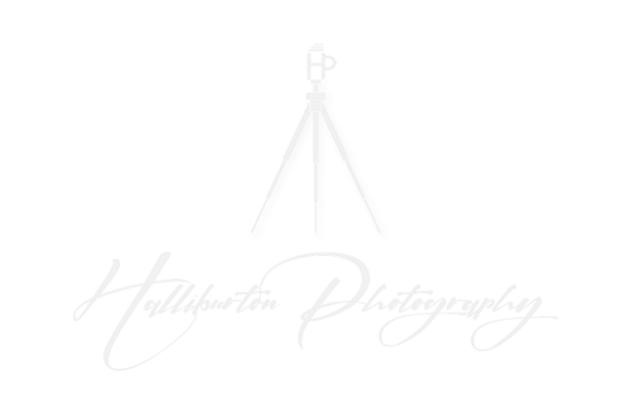 David Halliburton
