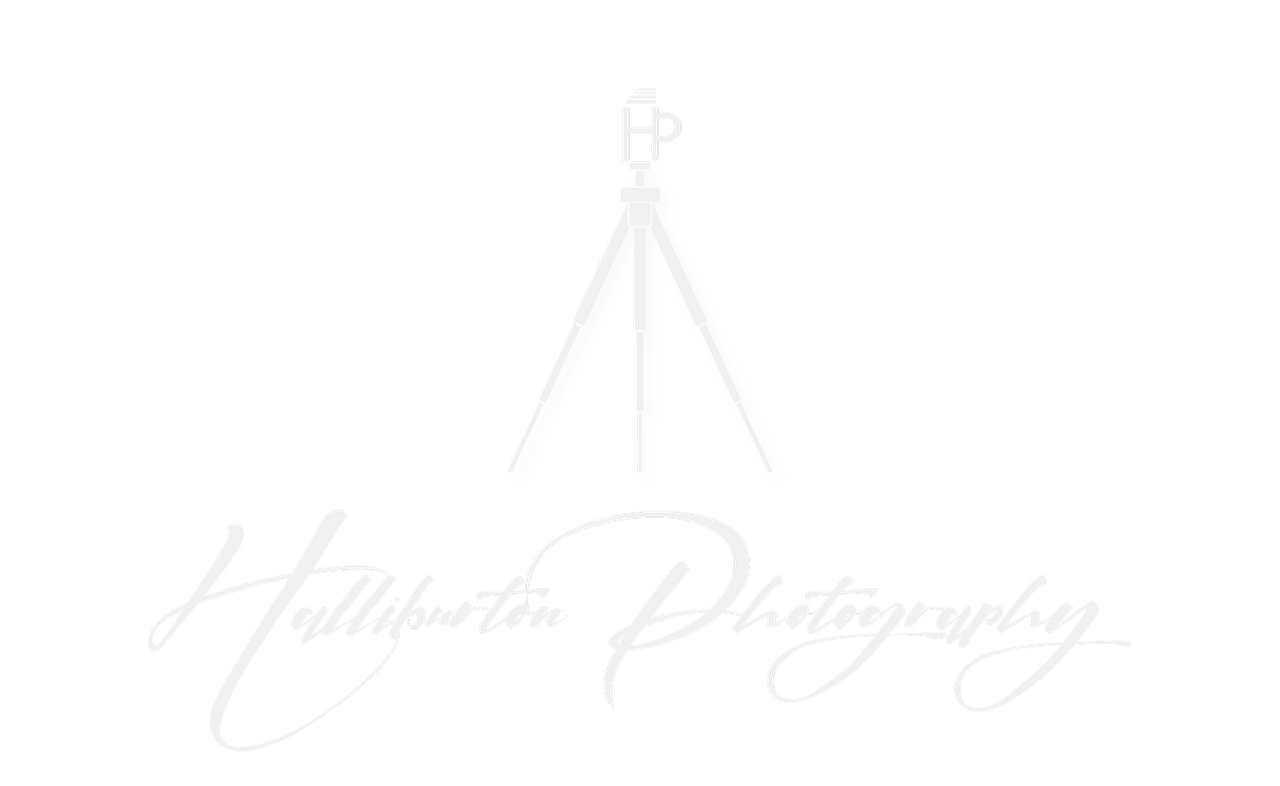 David Halliburton