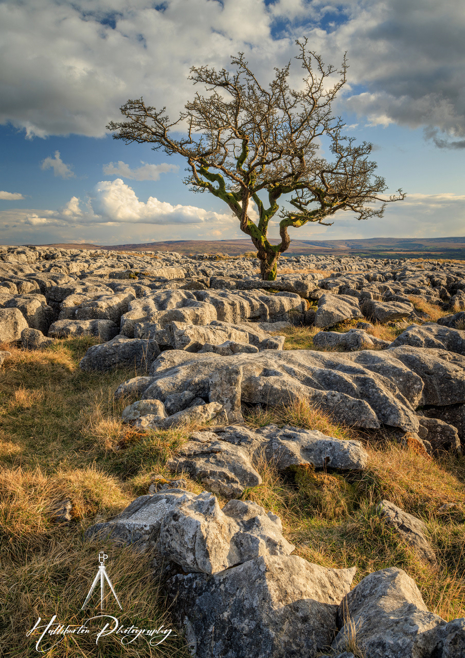 Twistleton Scar