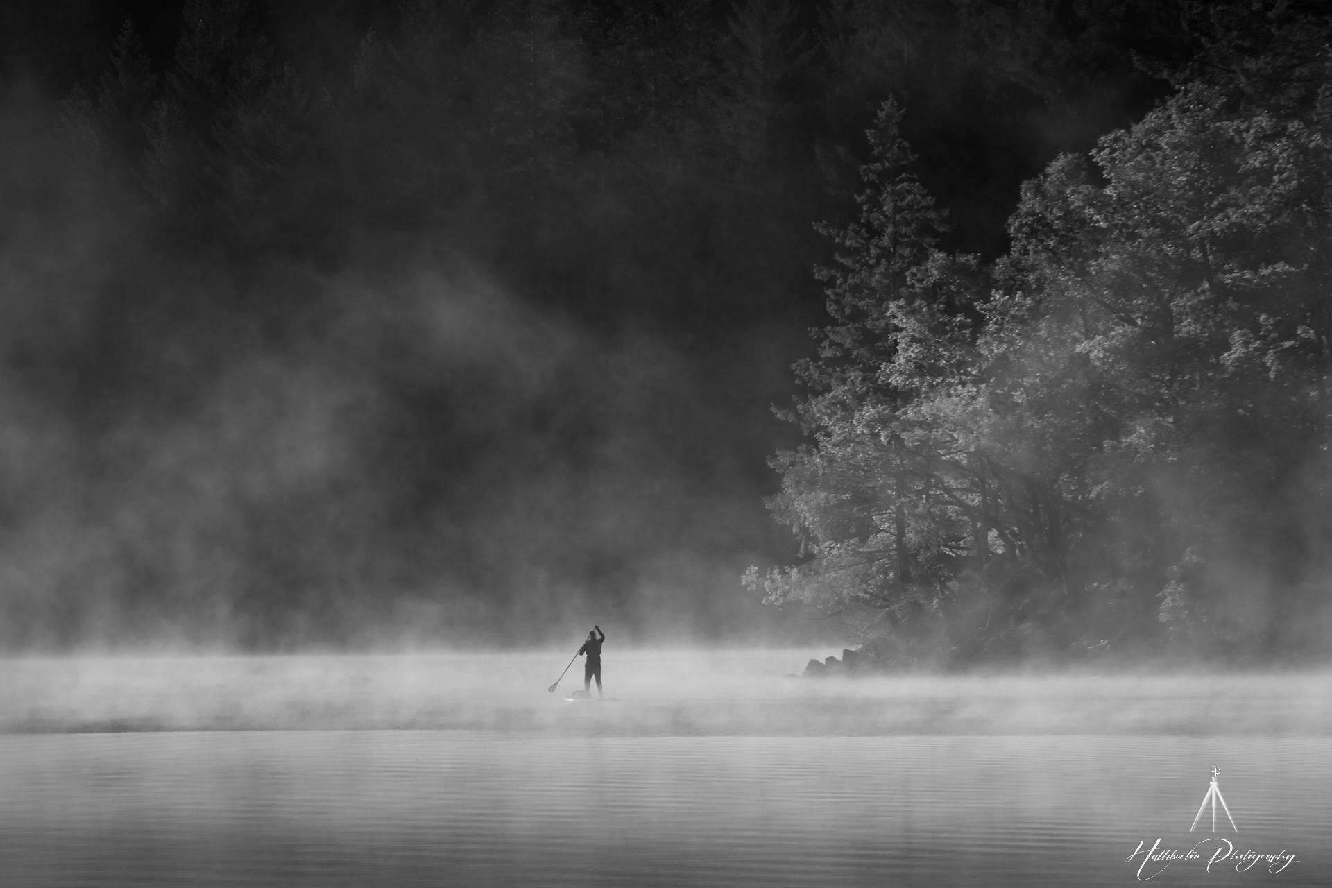 Paddleboarder