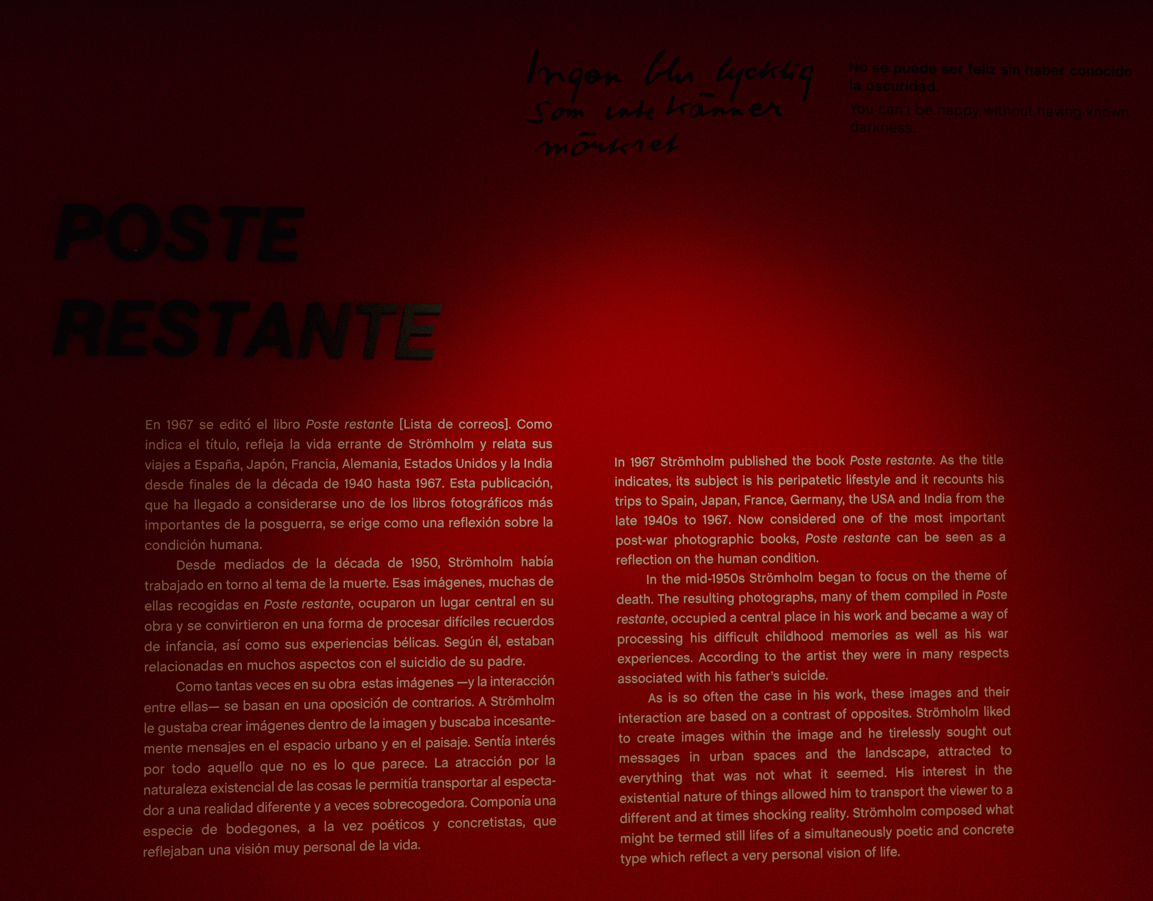 Christer Strömholm en La Fundación Mapfre... II