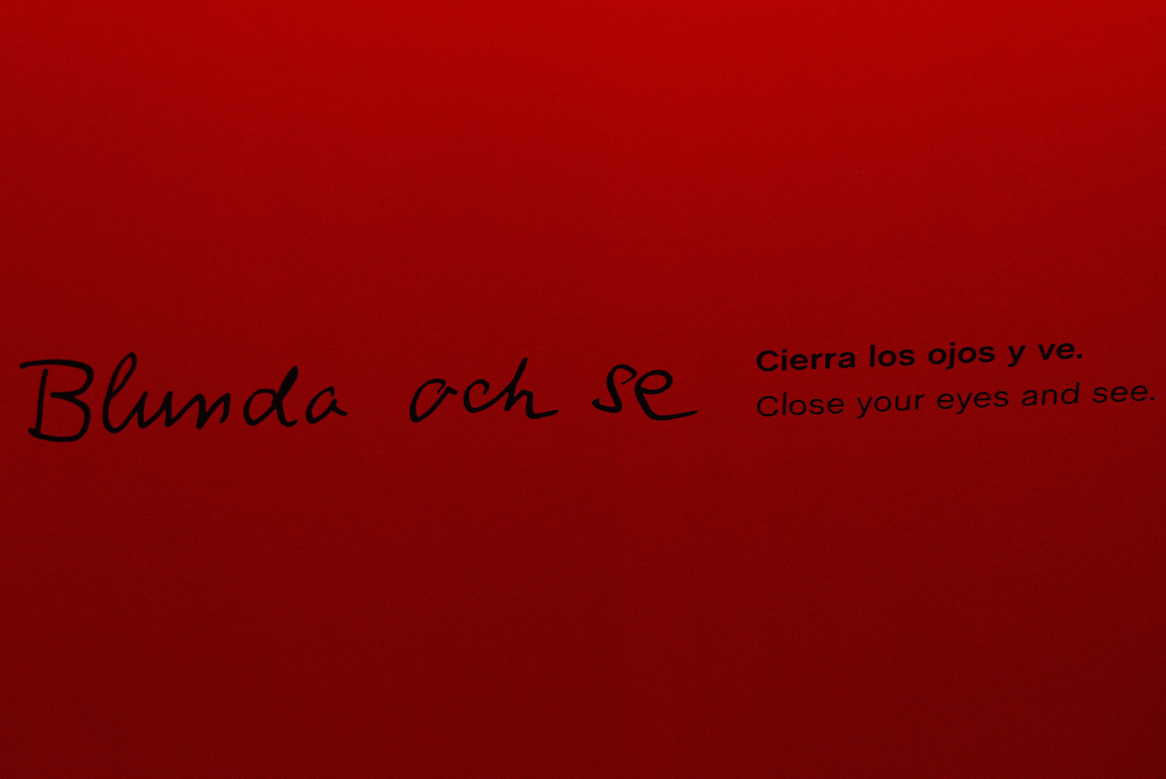 Christer Strömholm en La Fundación Mapfre... III