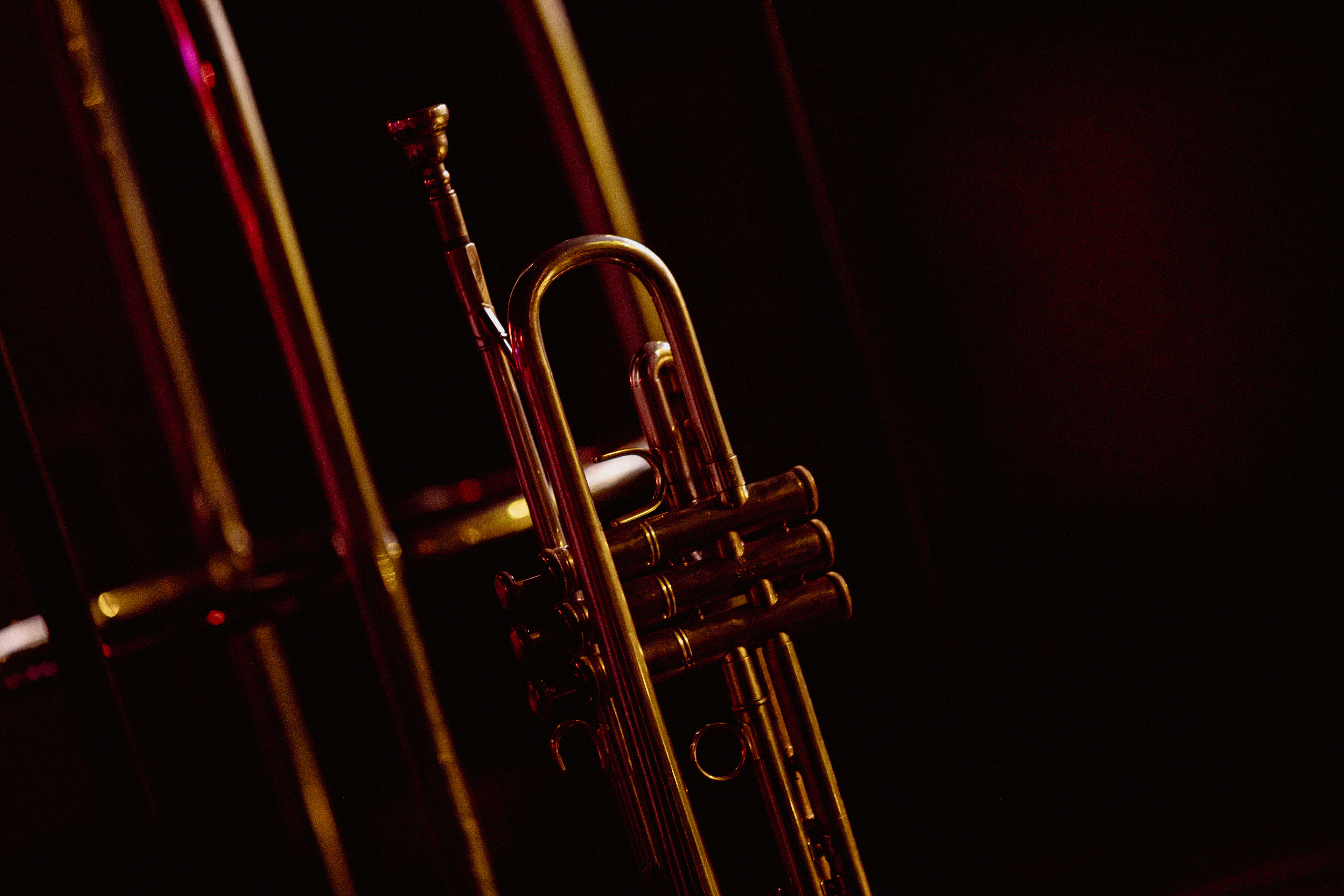 Concierto de Fred Wesley en Clamores... XX