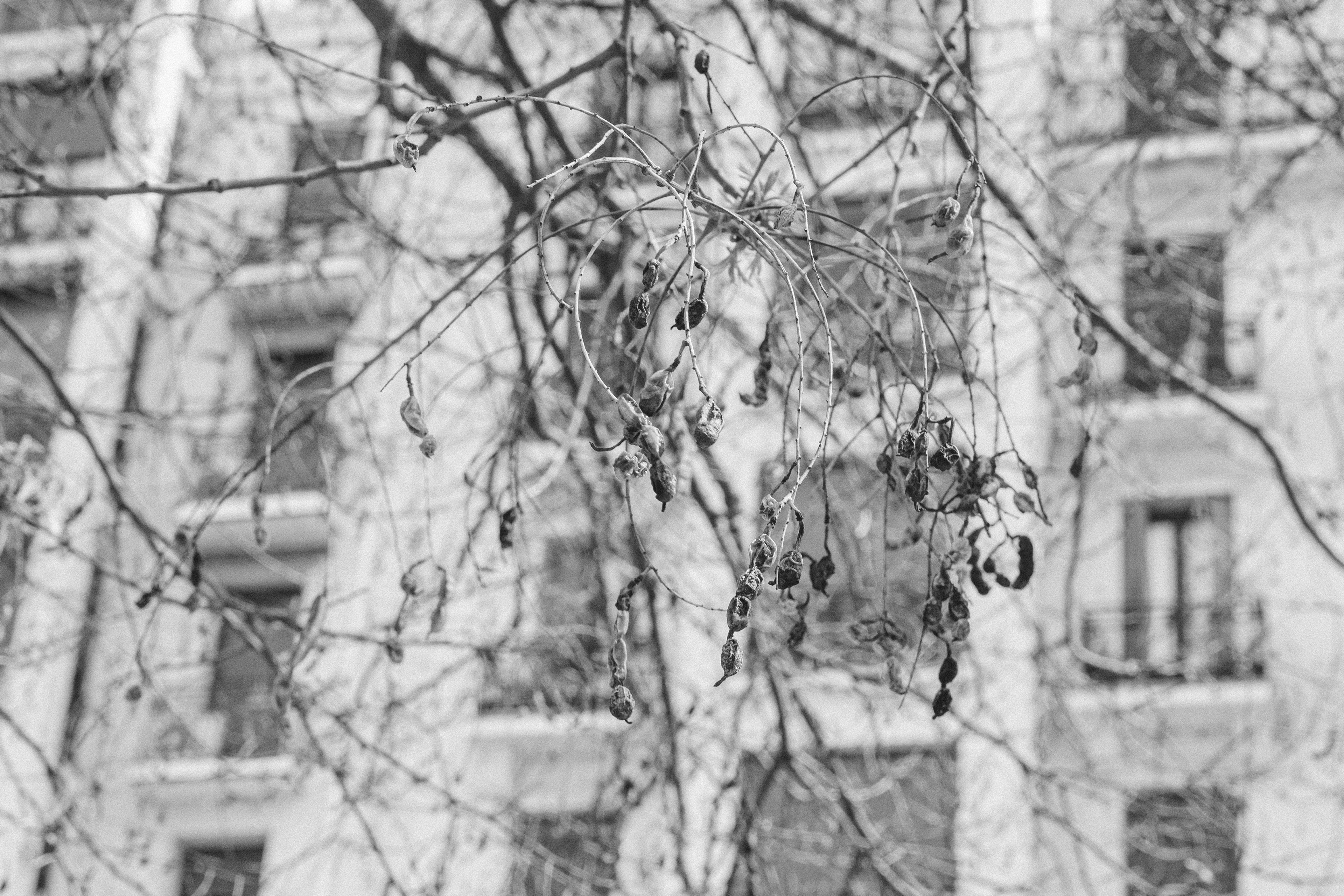 Madrid... VI