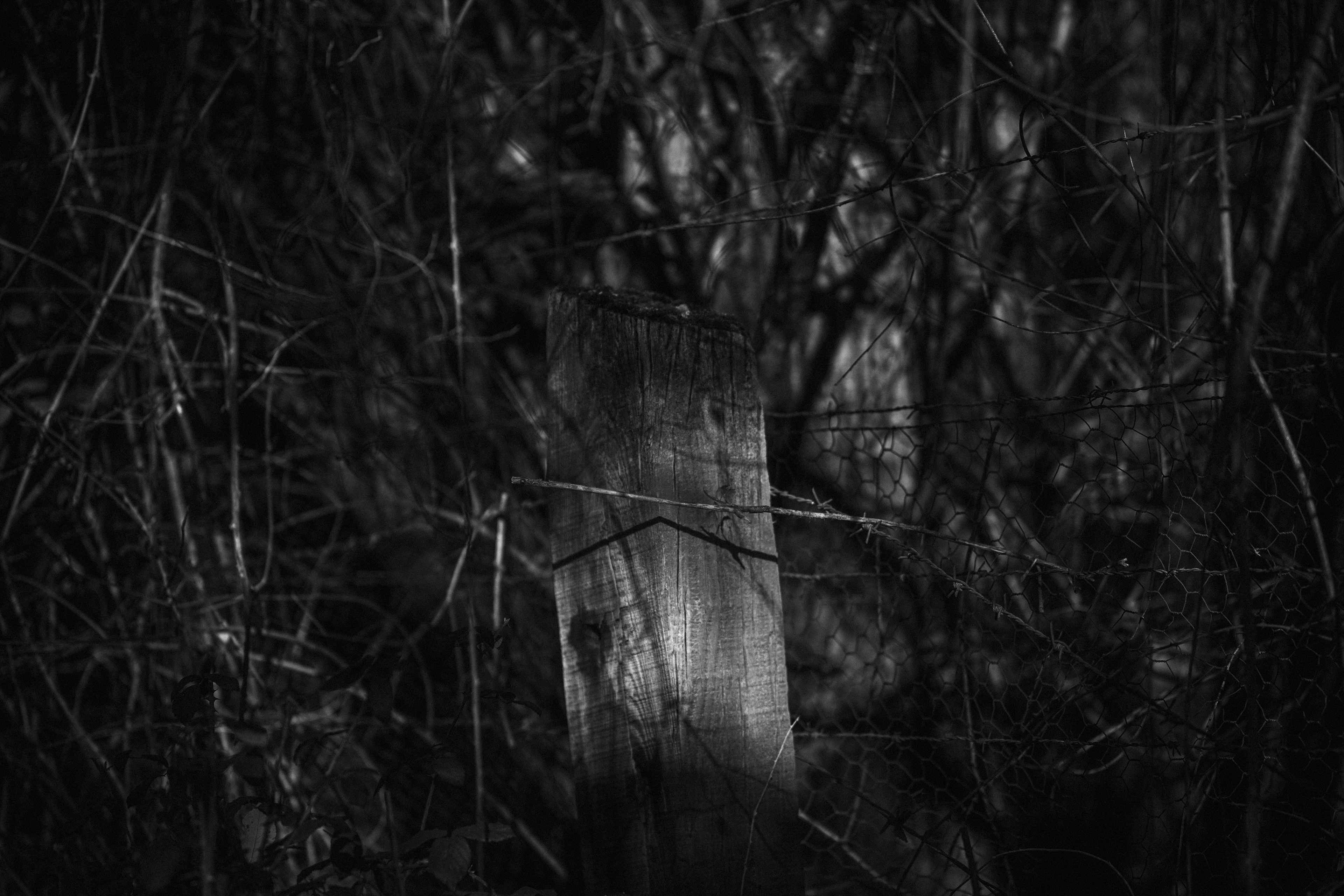 Diecinueve de marzo... LXIII