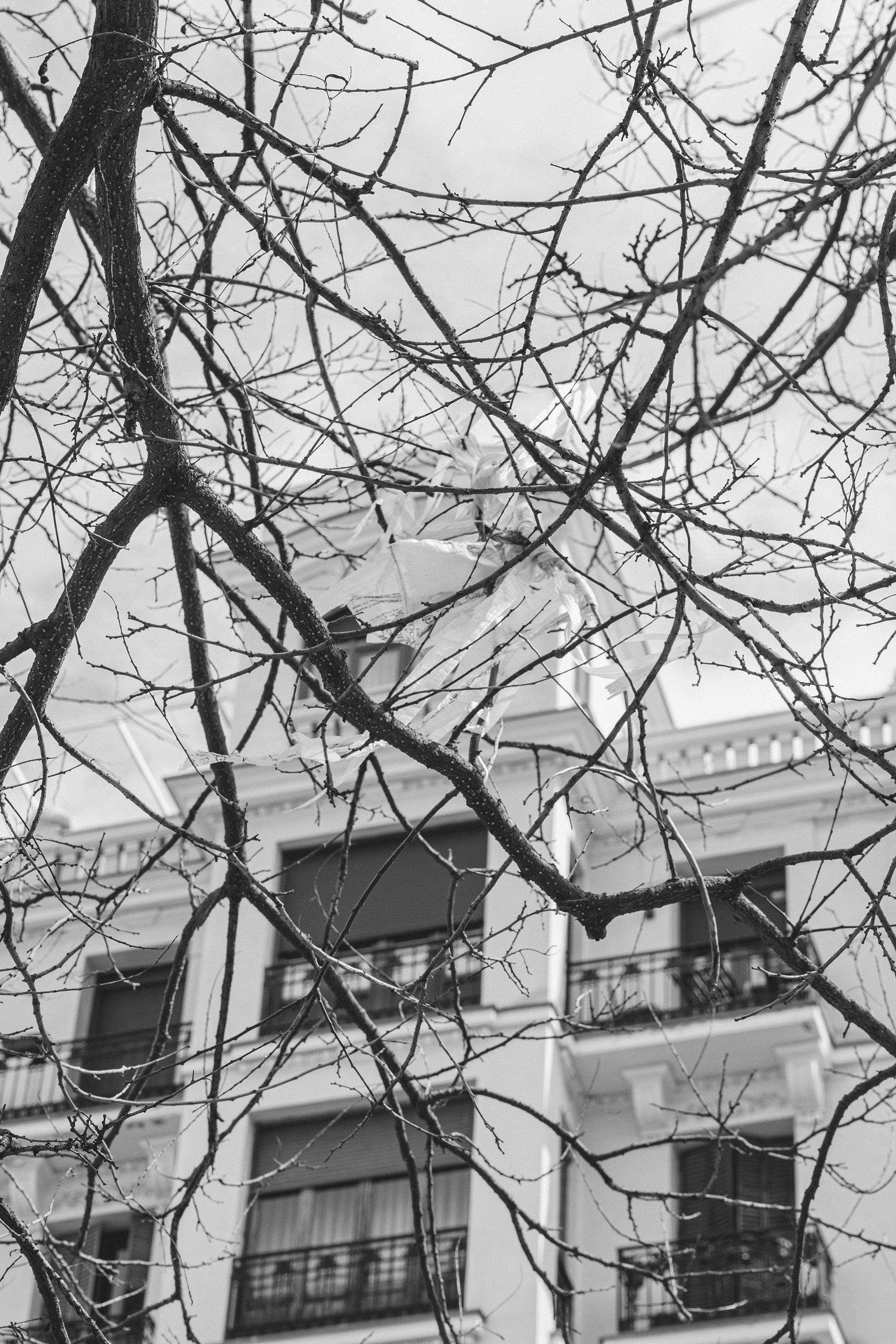 Madrid... VII