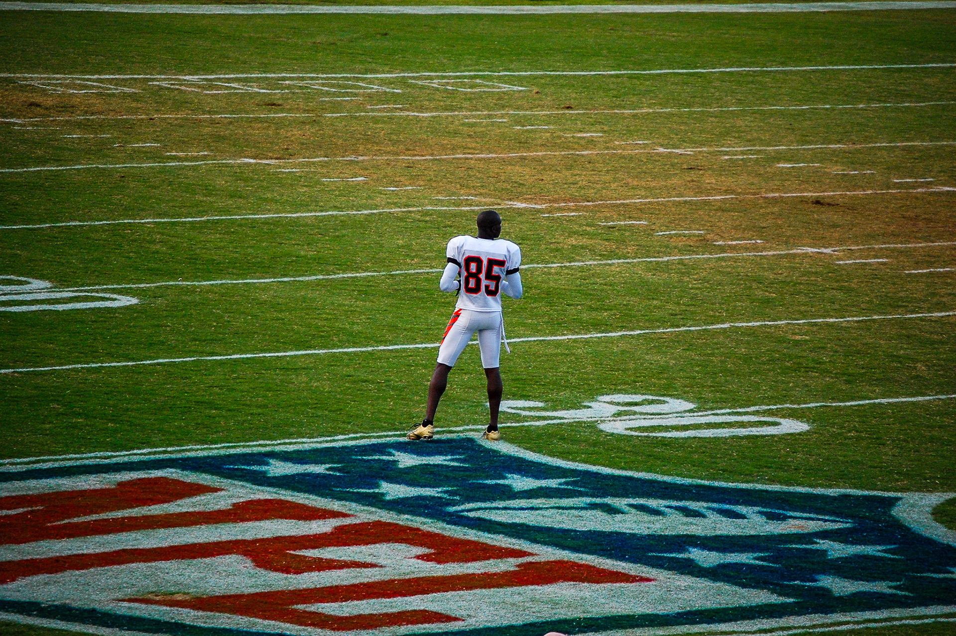 Chad "Ochocinco" Johnson posing for me near the NFL logo