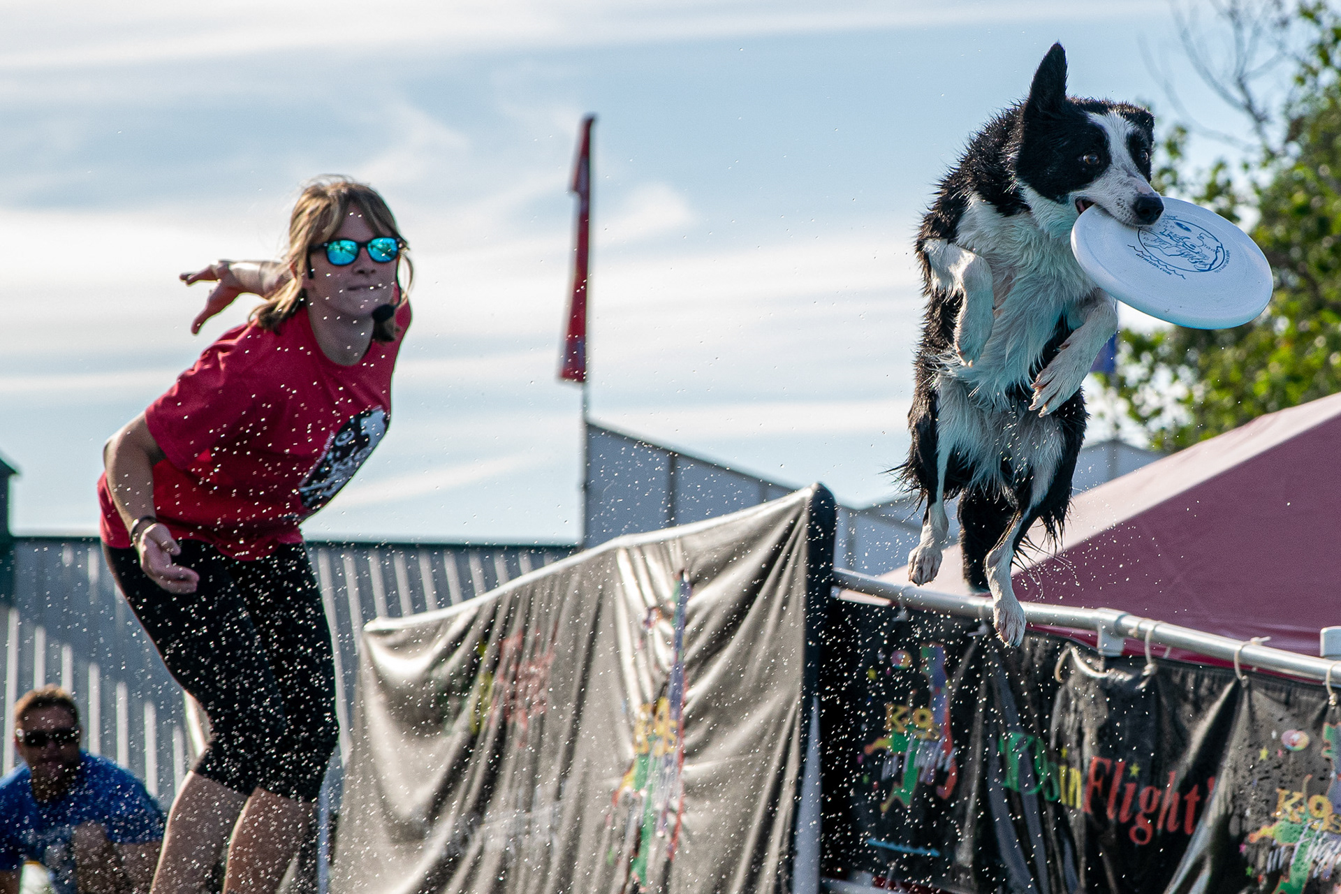 K9s in Flight at the Bluegrass Fair
