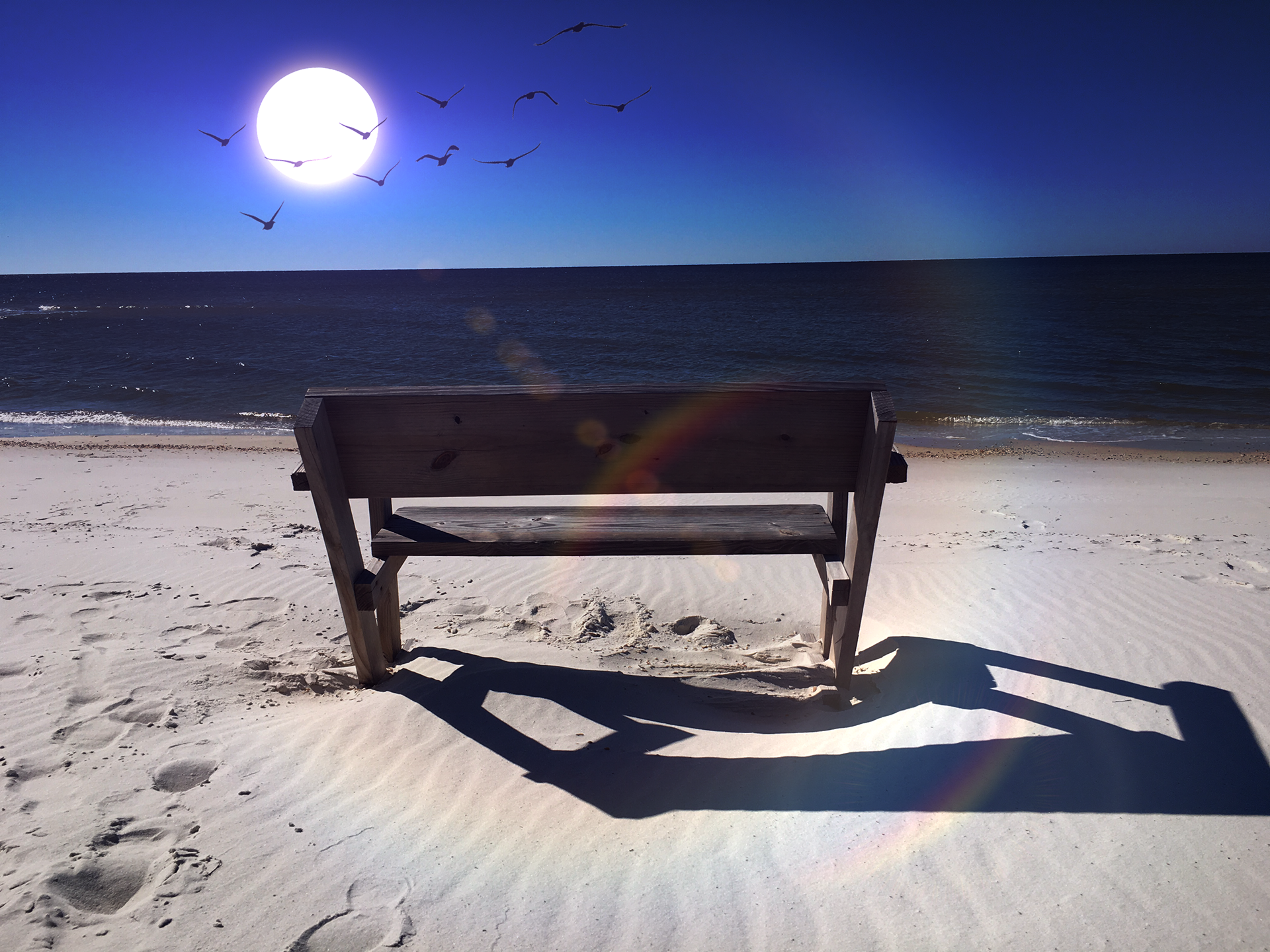 Contemplation, Cape San Blas, FL