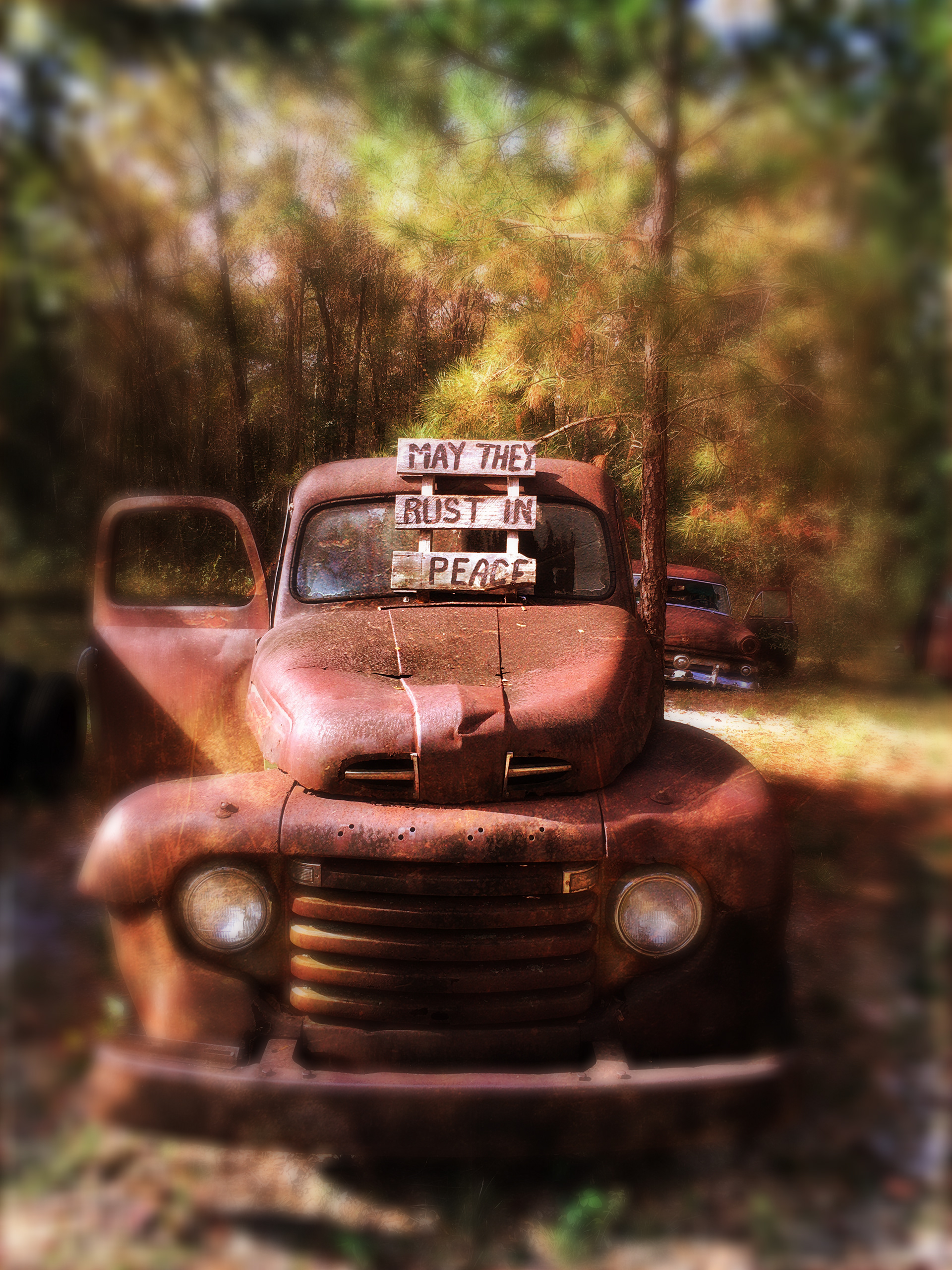 May They Rust in Peace, Crawfordville, FL