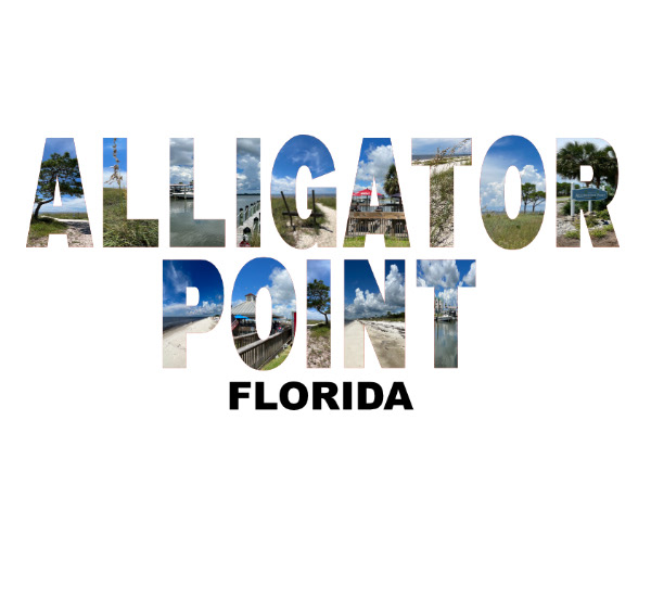 Alligator Point T-Shirt