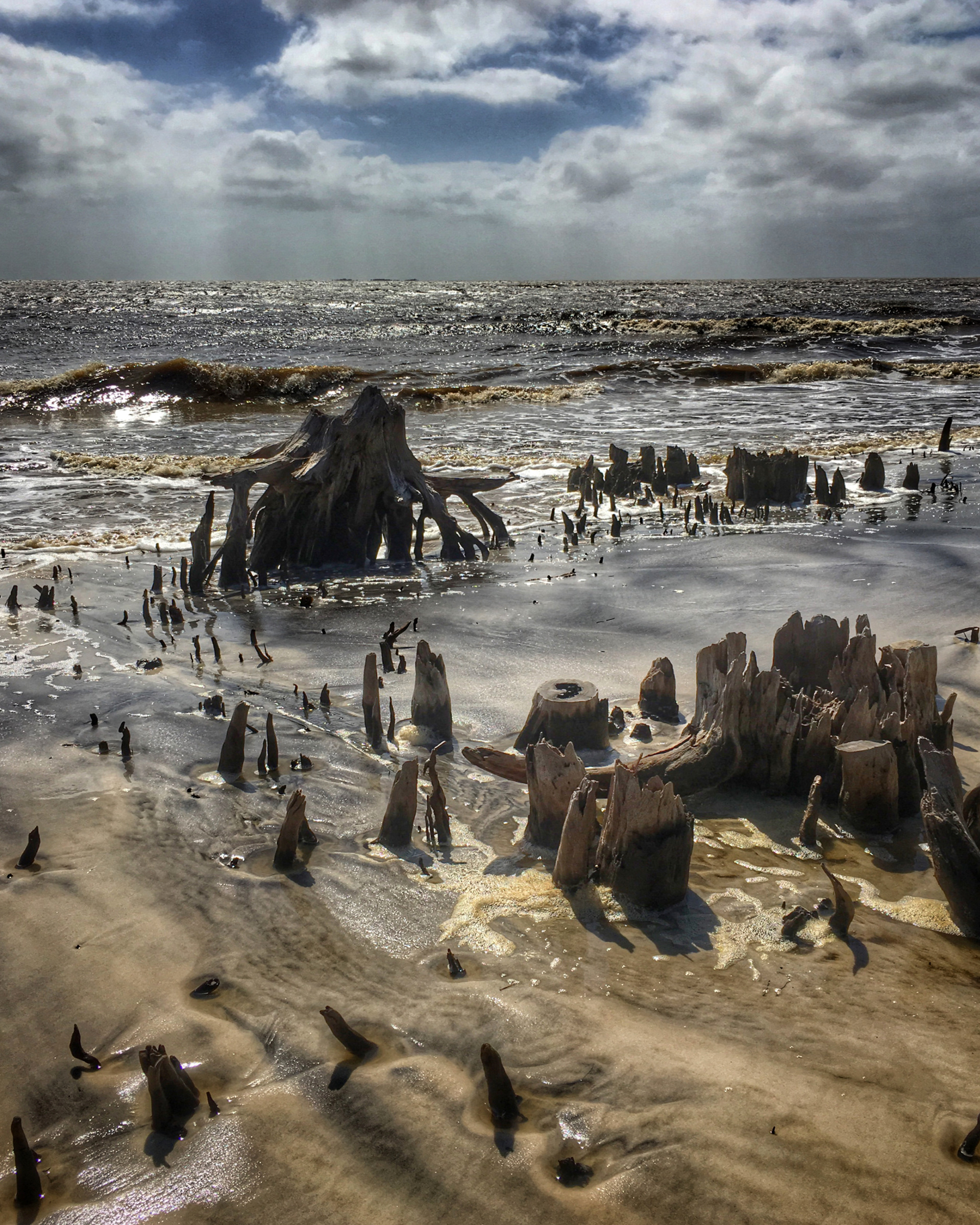 Carrabelle Beach Stumps