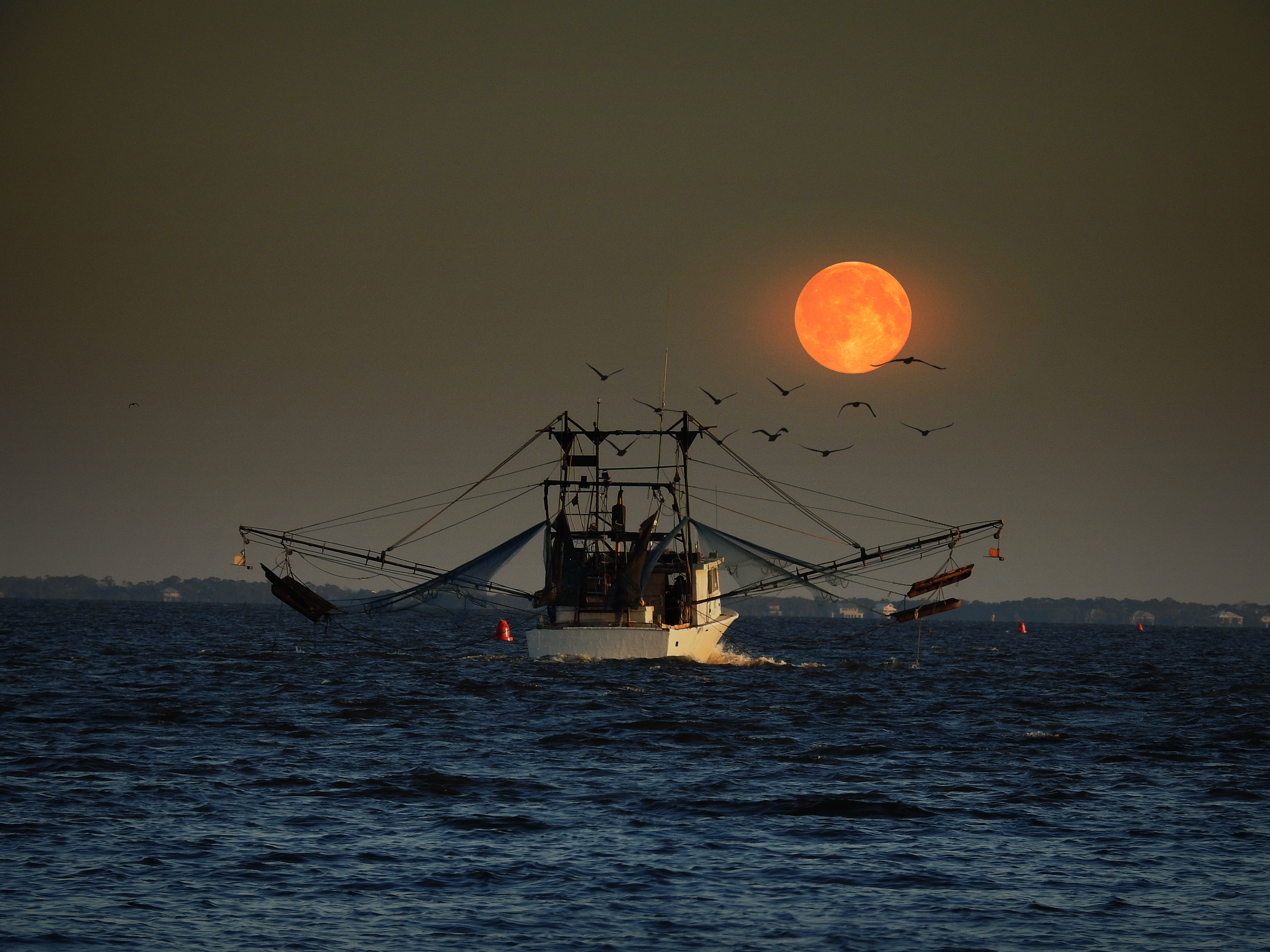 Heading Out, St. George Is., FL