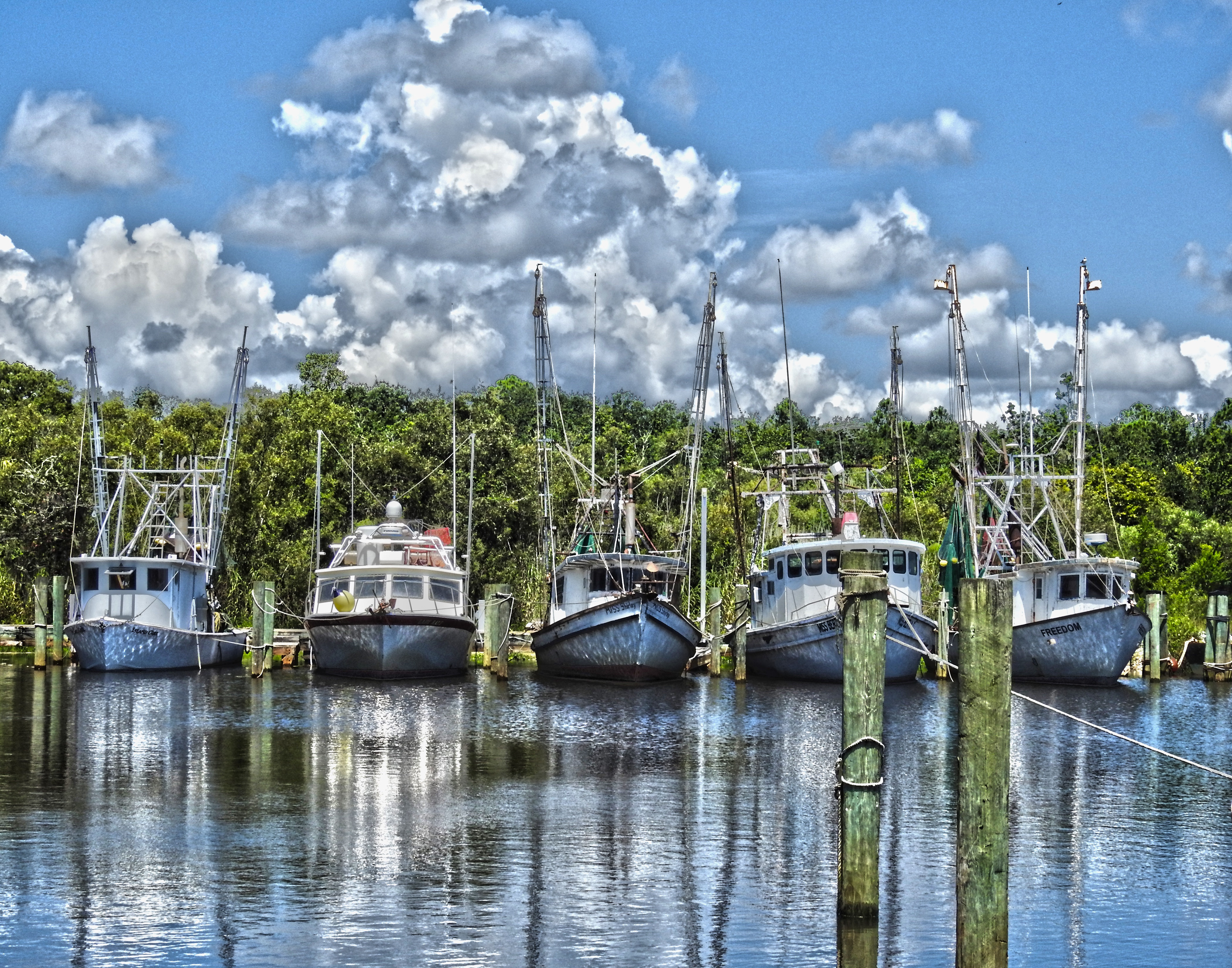 Mill Pond, Apalachicola, FL