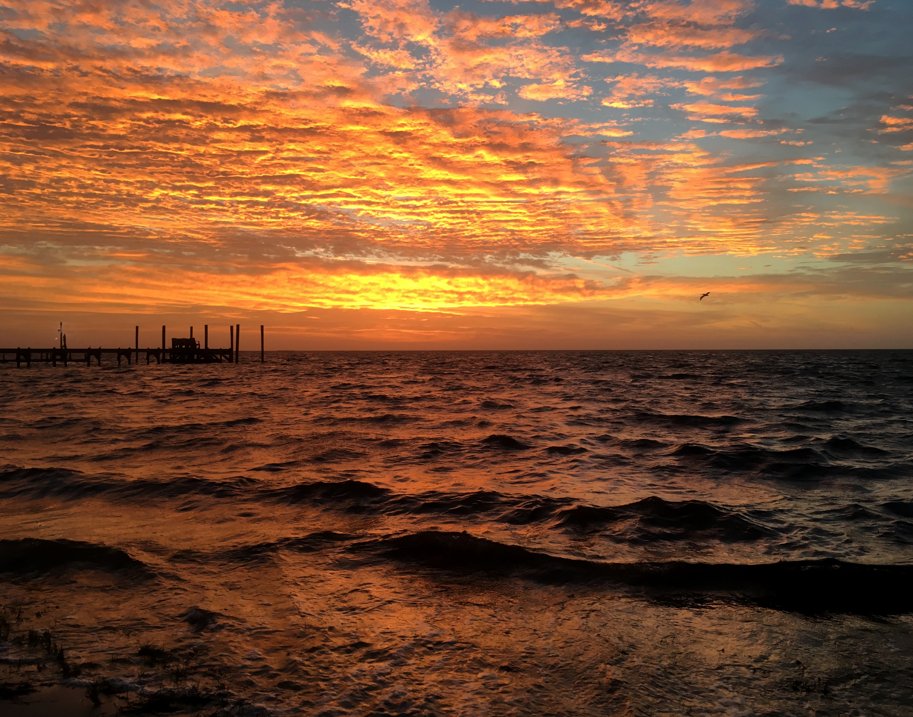 Forgotten Coast Sunset, FL