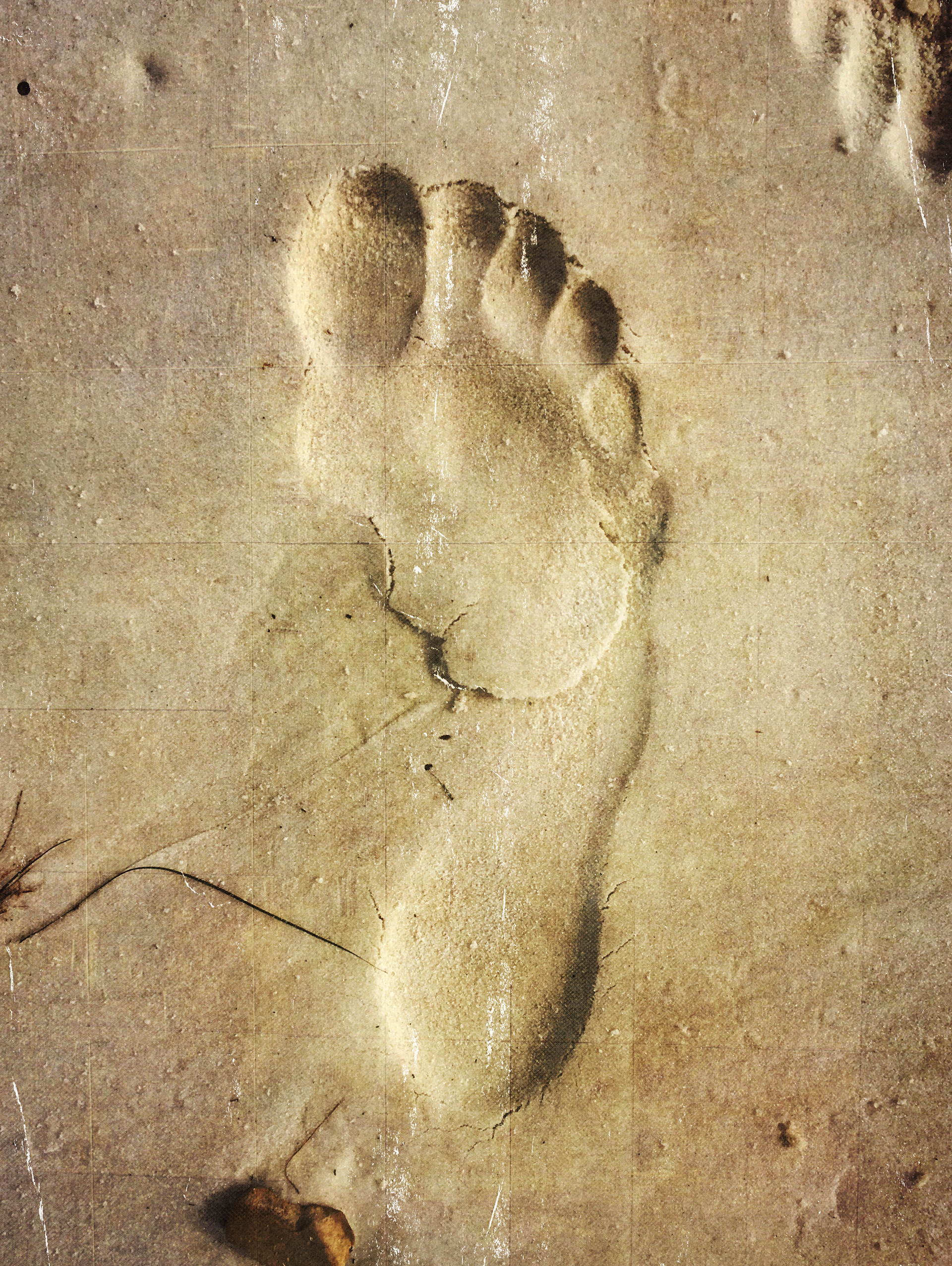 Foot print in the Sand, St. George Is. FL