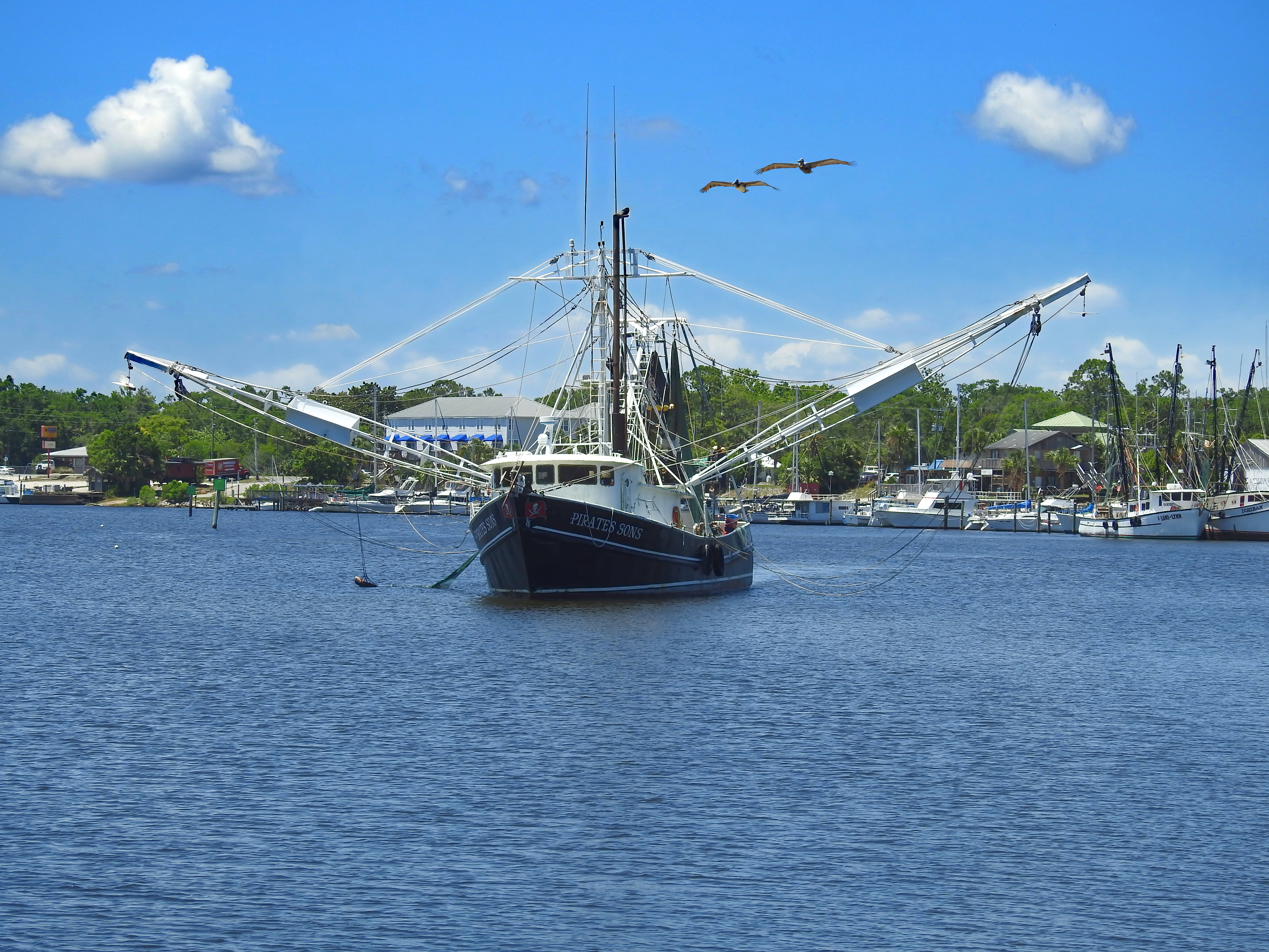 Heading Out, Carrabelle Harbor, FL