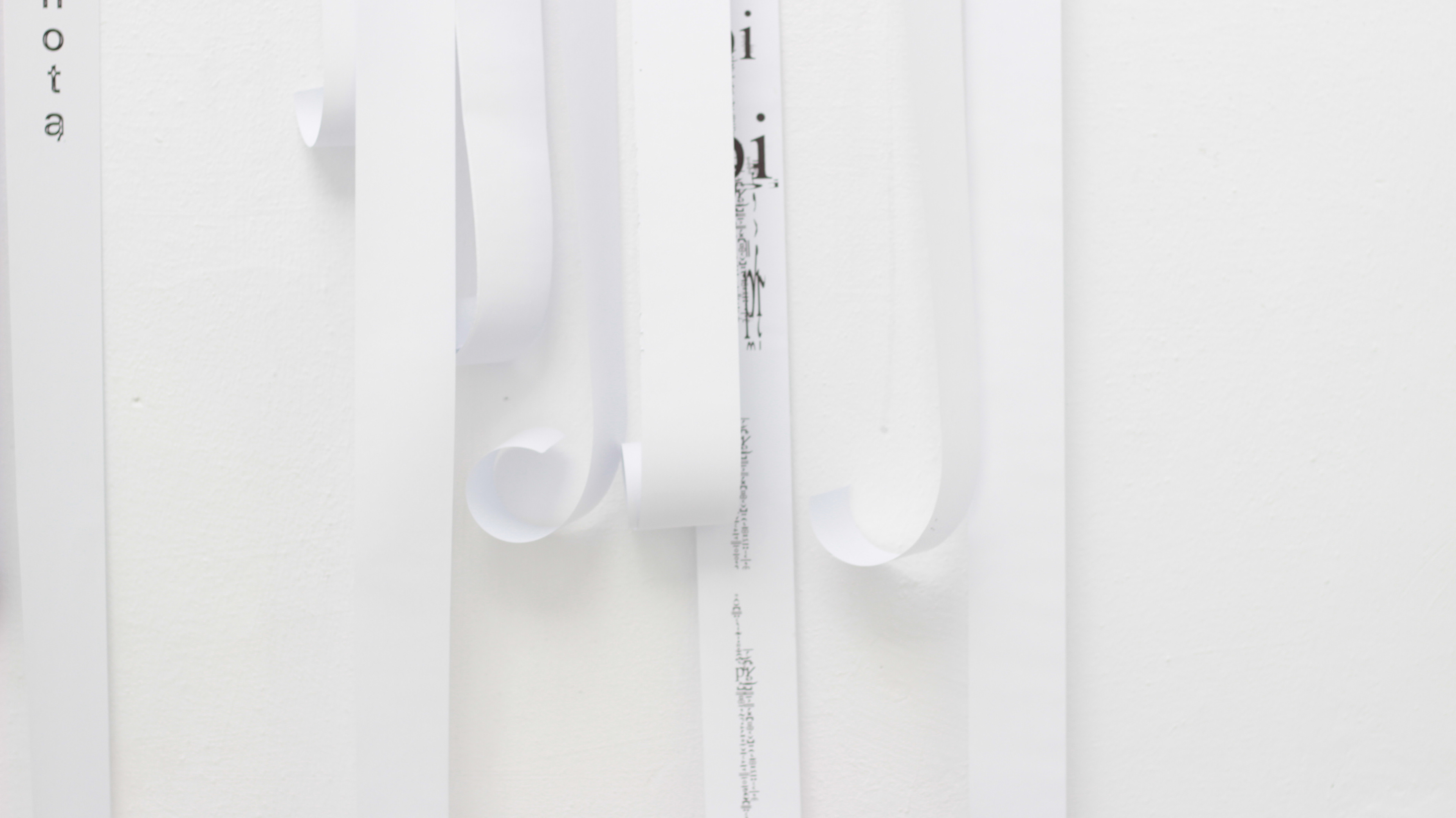 fot. Michał Menkarski