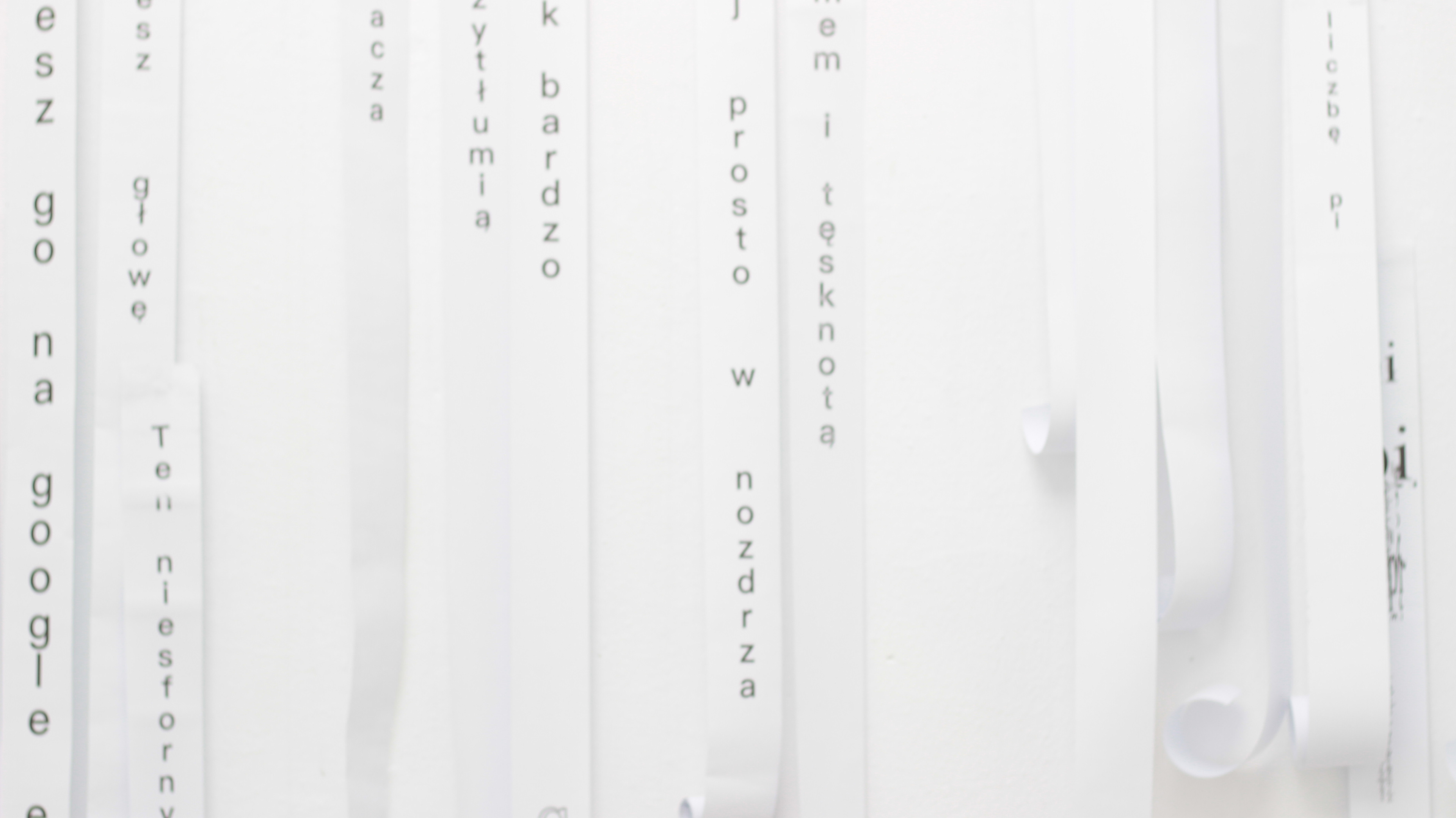 fot. Michał Menkarski