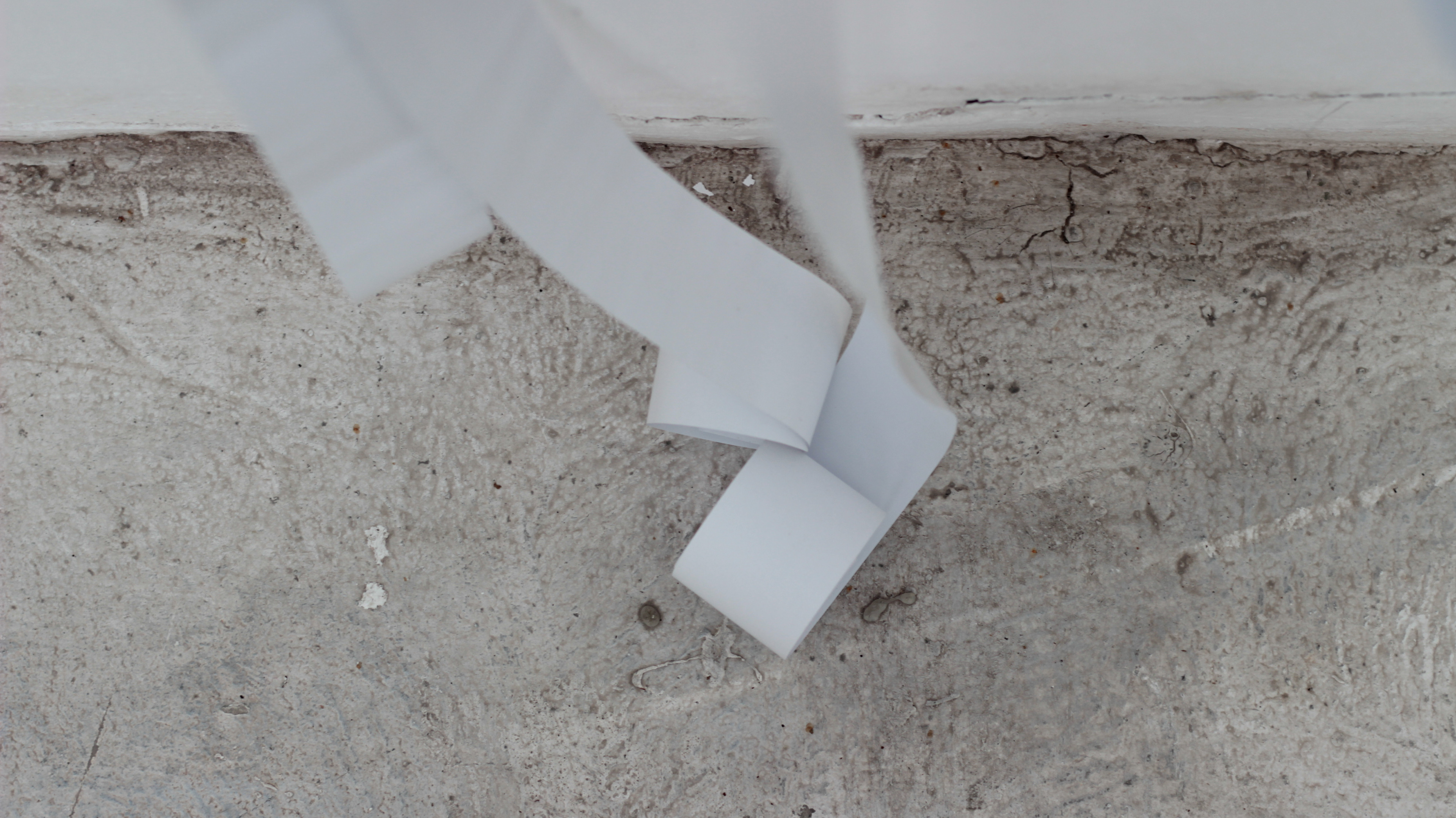 fot. Michał Menkarski