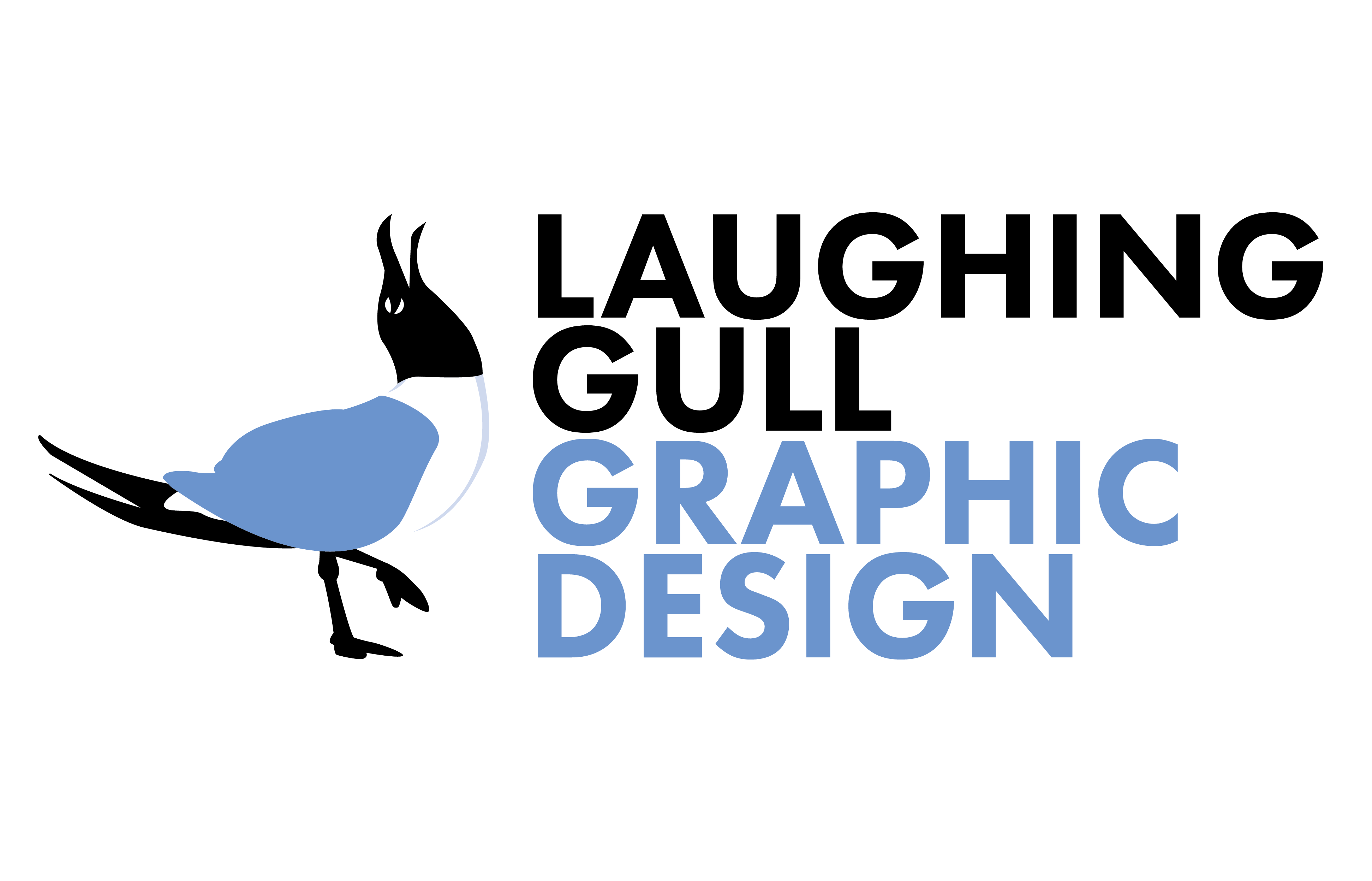 Laughing Gull Graphic Design