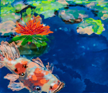 Koi Fish In a Pond
