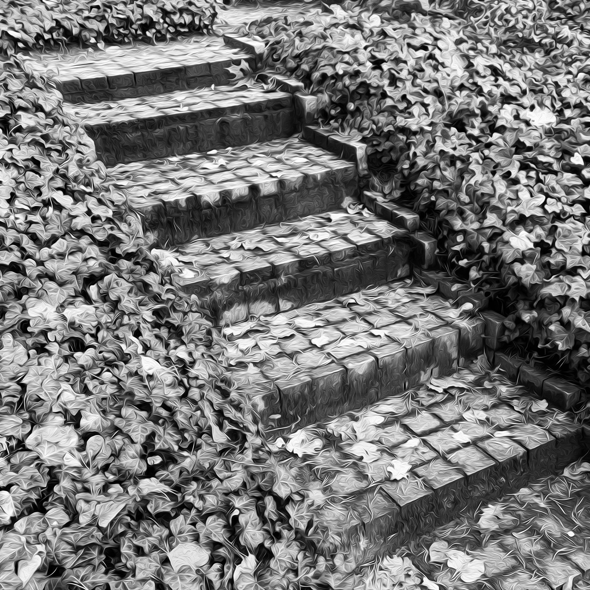 Floor patterns AND territoriality