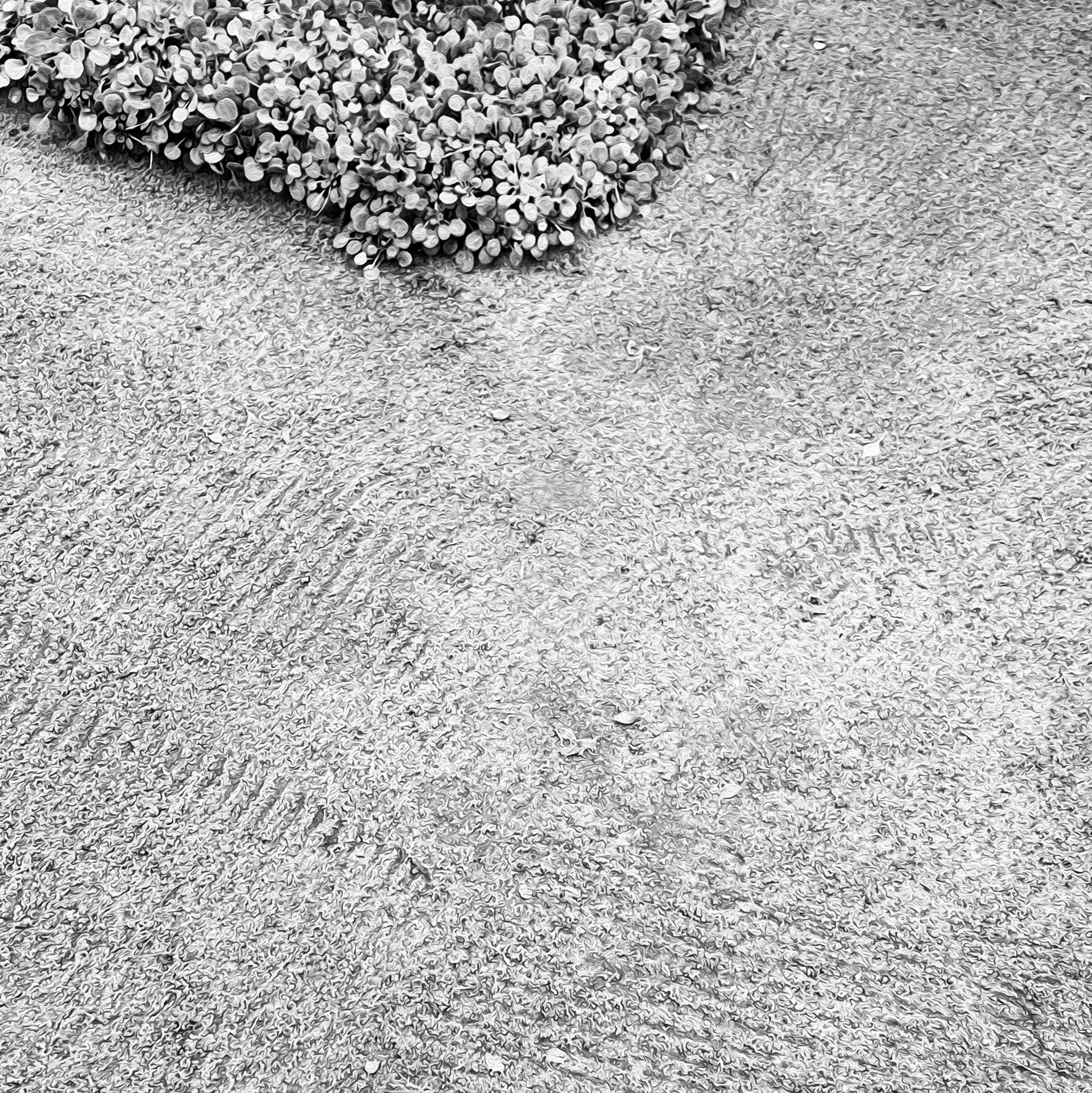 RAKED SAND TRADITION