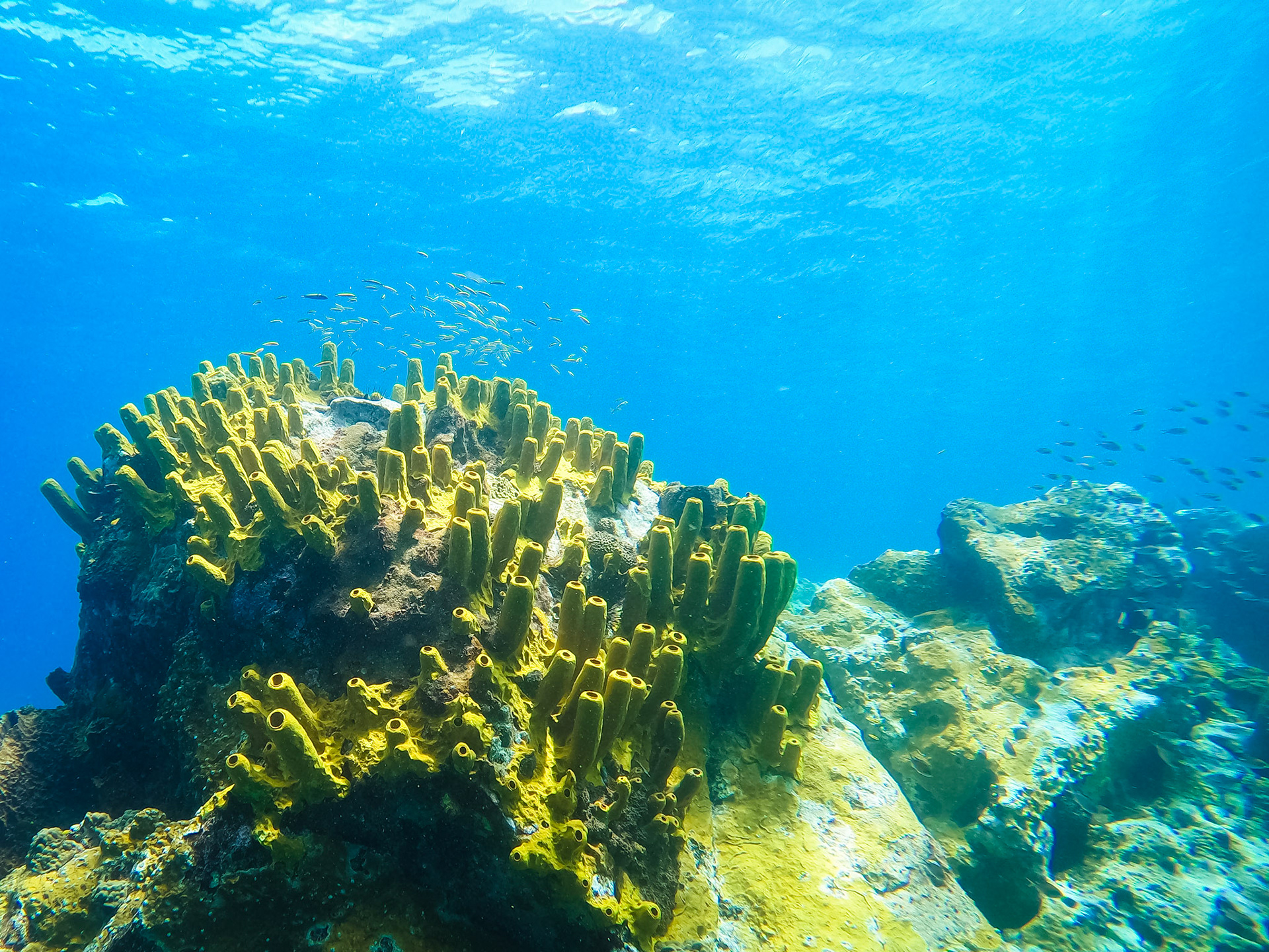 DCIM\100GOPRO\GOPR0276.JPG