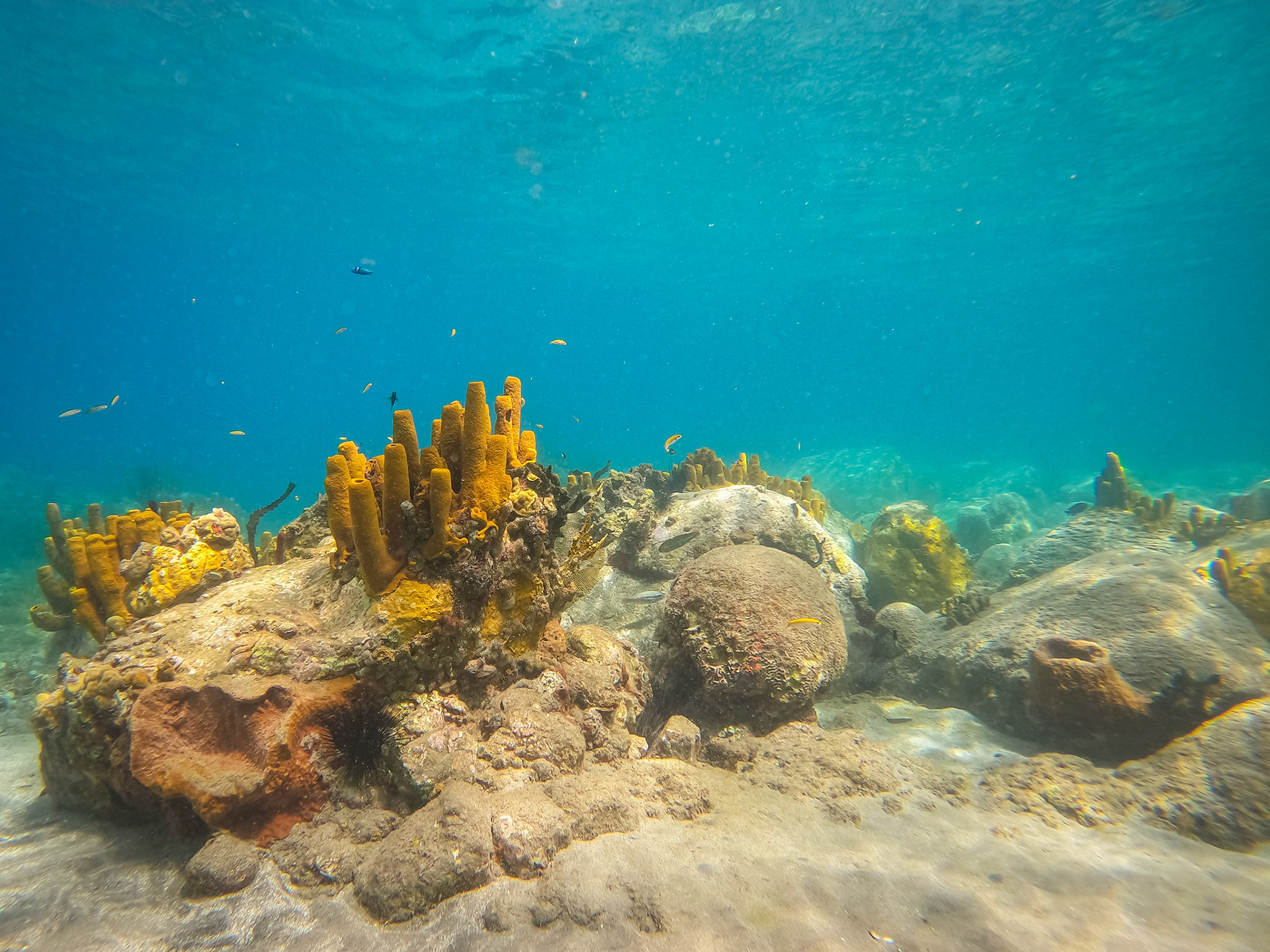 DCIM\100GOPRO\GOPR0291.JPG